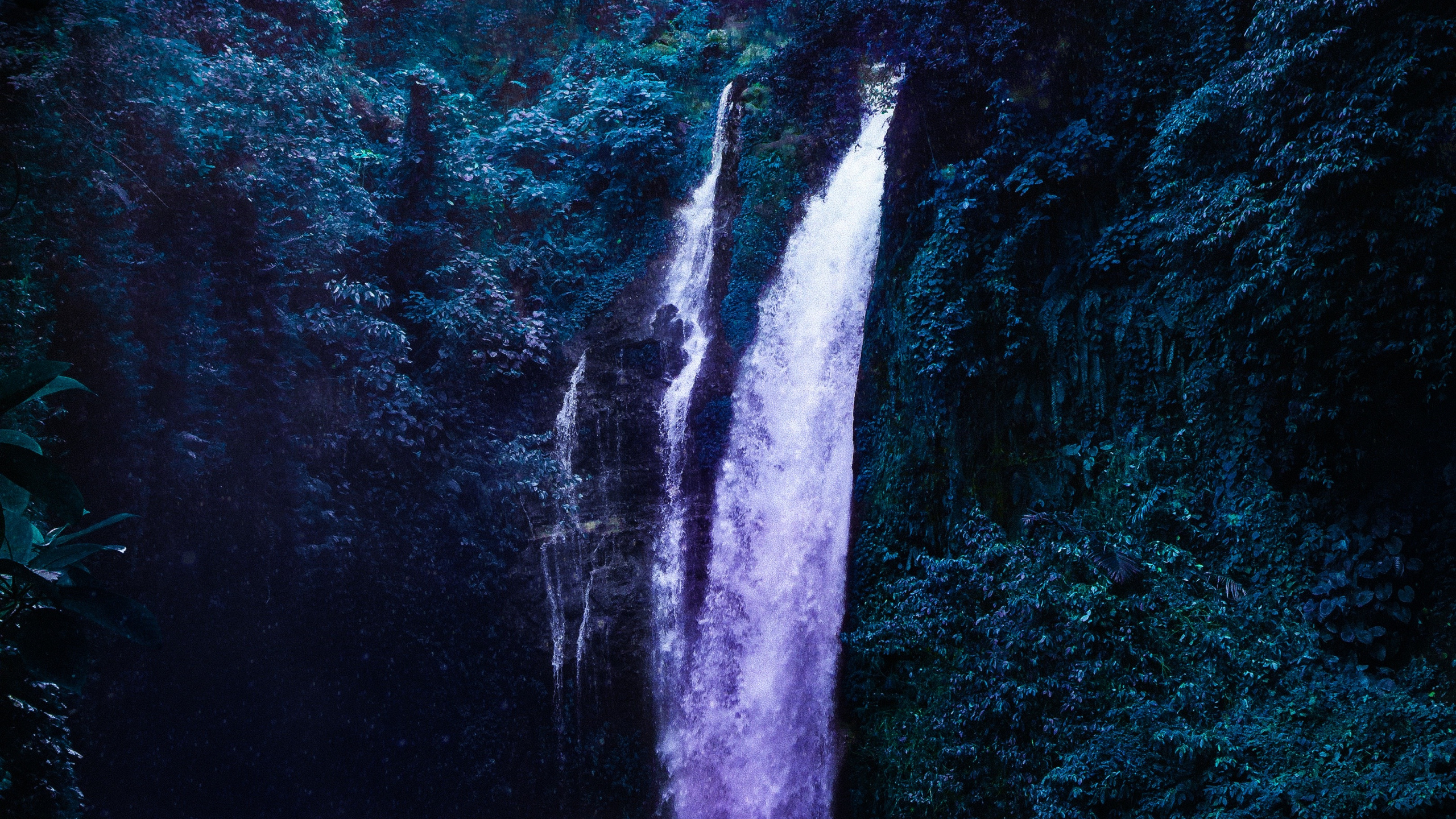 Обои водопад, вода, природный ландшафт, ветвь, растительность в разрешении 2560x1440