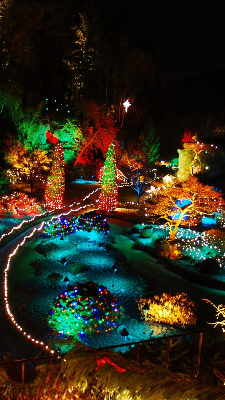 Обои Канада ночной природы, Butchart Сады, природа, ночь, вода в разрешении 720x1280