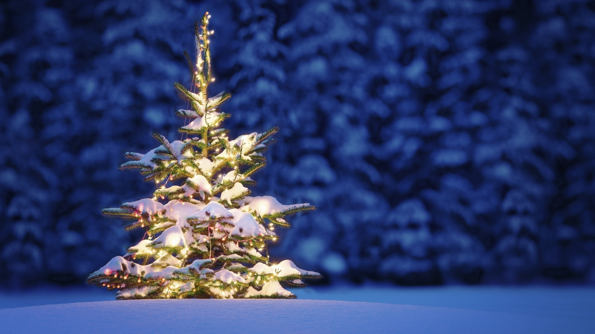Обои елка, Рождественский день, дерево, зима, Рождество в разрешении 1920x1080