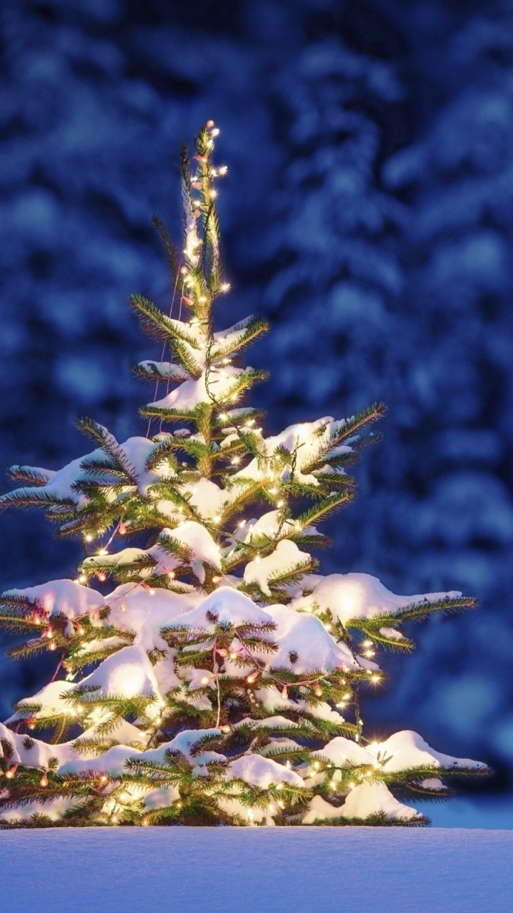 Обои елка, Рождественский день, дерево, зима, Рождество в разрешении 720x1280