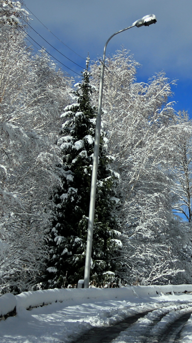 Обои снег, зима, дерево, замораживание, дикая местность в разрешении 750x1334