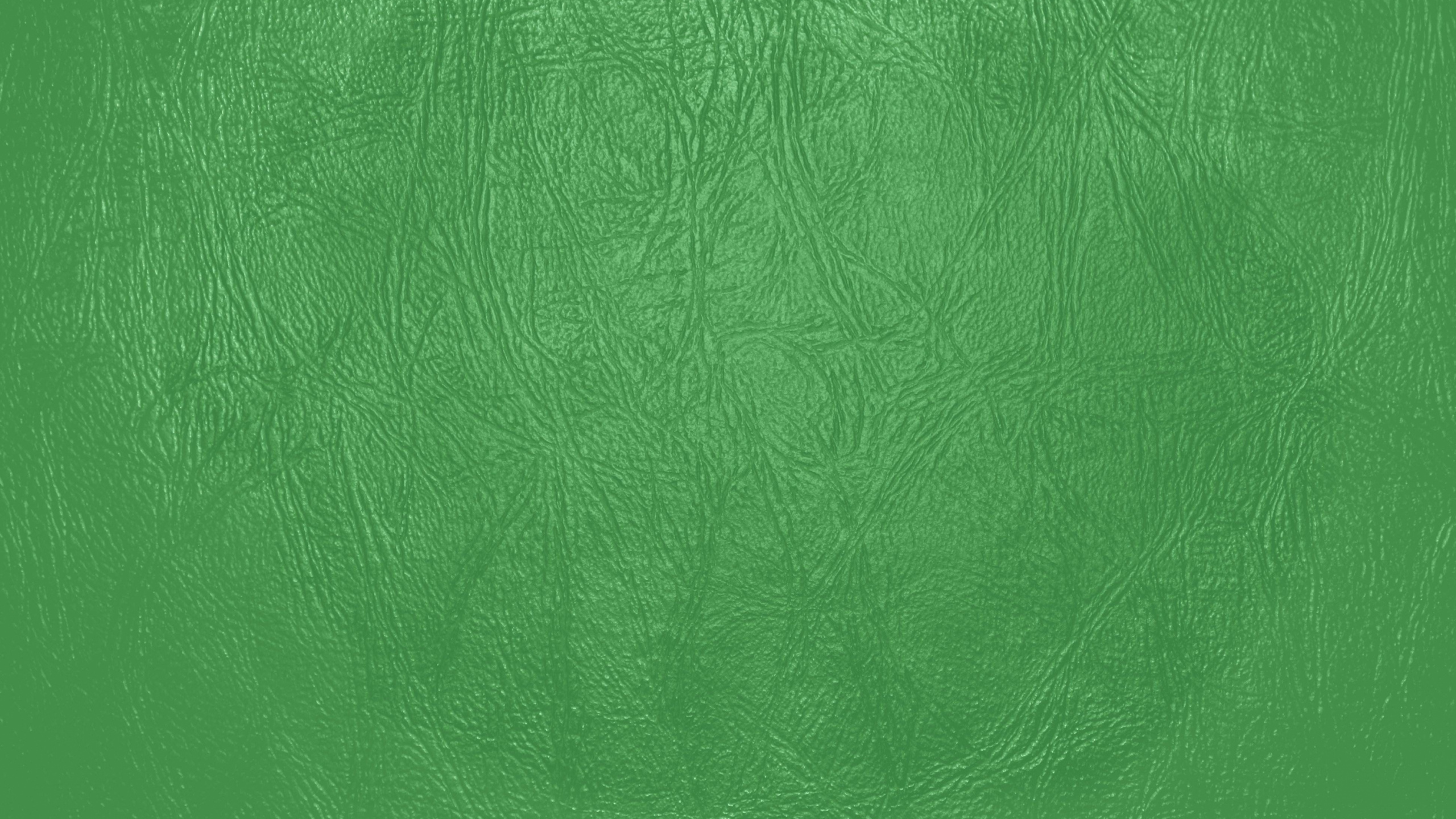 Зеленая кожа текстура
