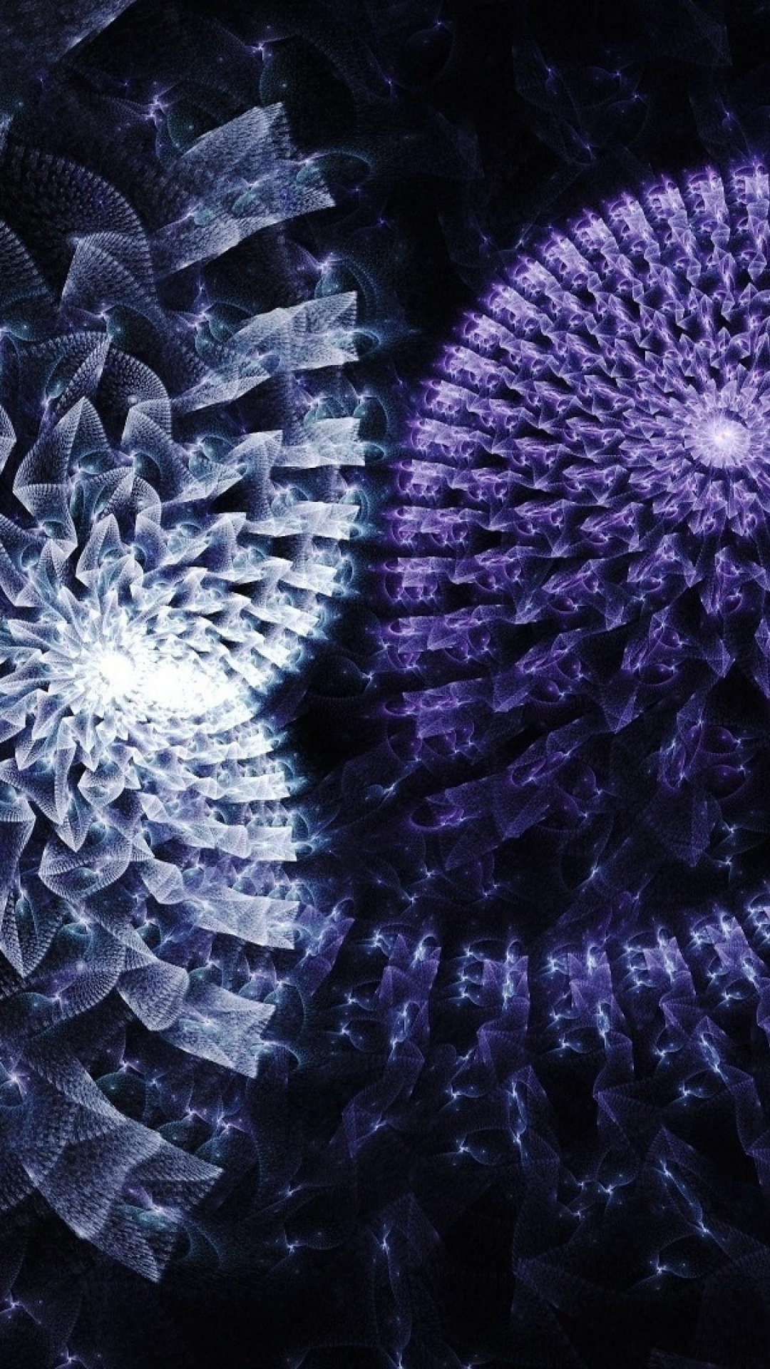 Обои фрактальное искусство, пурпур, Фиолетовый, арт, морская биология в разрешении 1080x1920