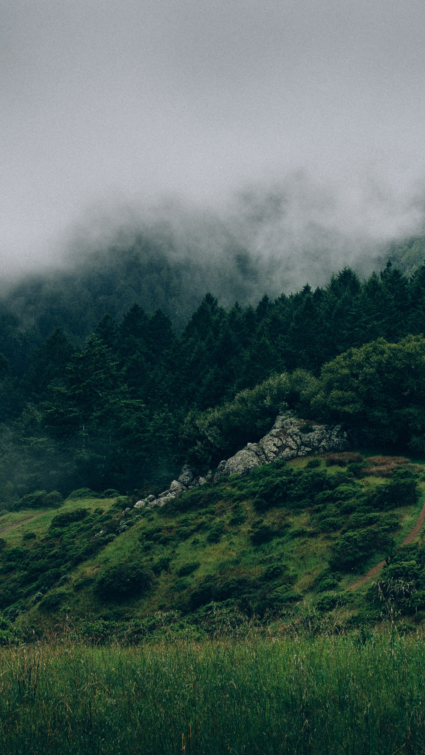 Обои природа, горный рельеф, нагорье, зеленый, растительность в разрешении 1440x2560