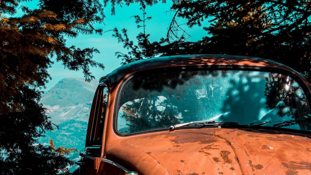 Обои старая машина припаркована под деревом, Фольксваген жук, легковые автомобили, старинная машина, Фольксваген в разрешении 1280x720