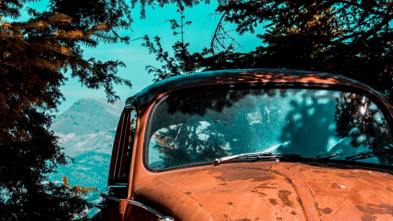 Обои старая машина припаркована под деревом, Фольксваген жук, легковые автомобили, старинная машина, Фольксваген в разрешении 1366x768