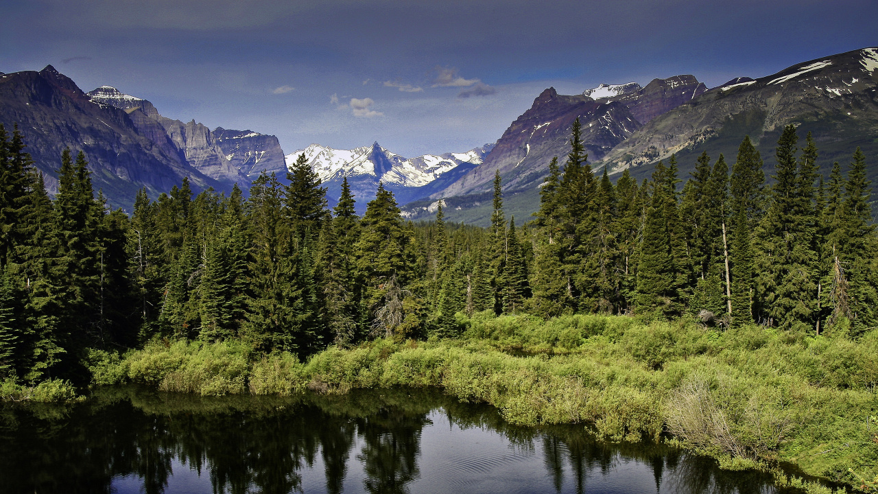 Обои отражение, дерево, Хвойные, природа, горный рельеф в разрешении 1280x720