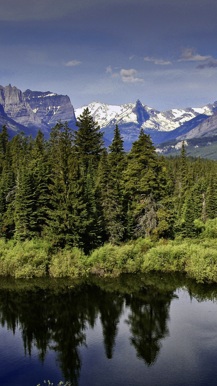 Обои отражение, дерево, Хвойные, природа, горный рельеф в разрешении 750x1334