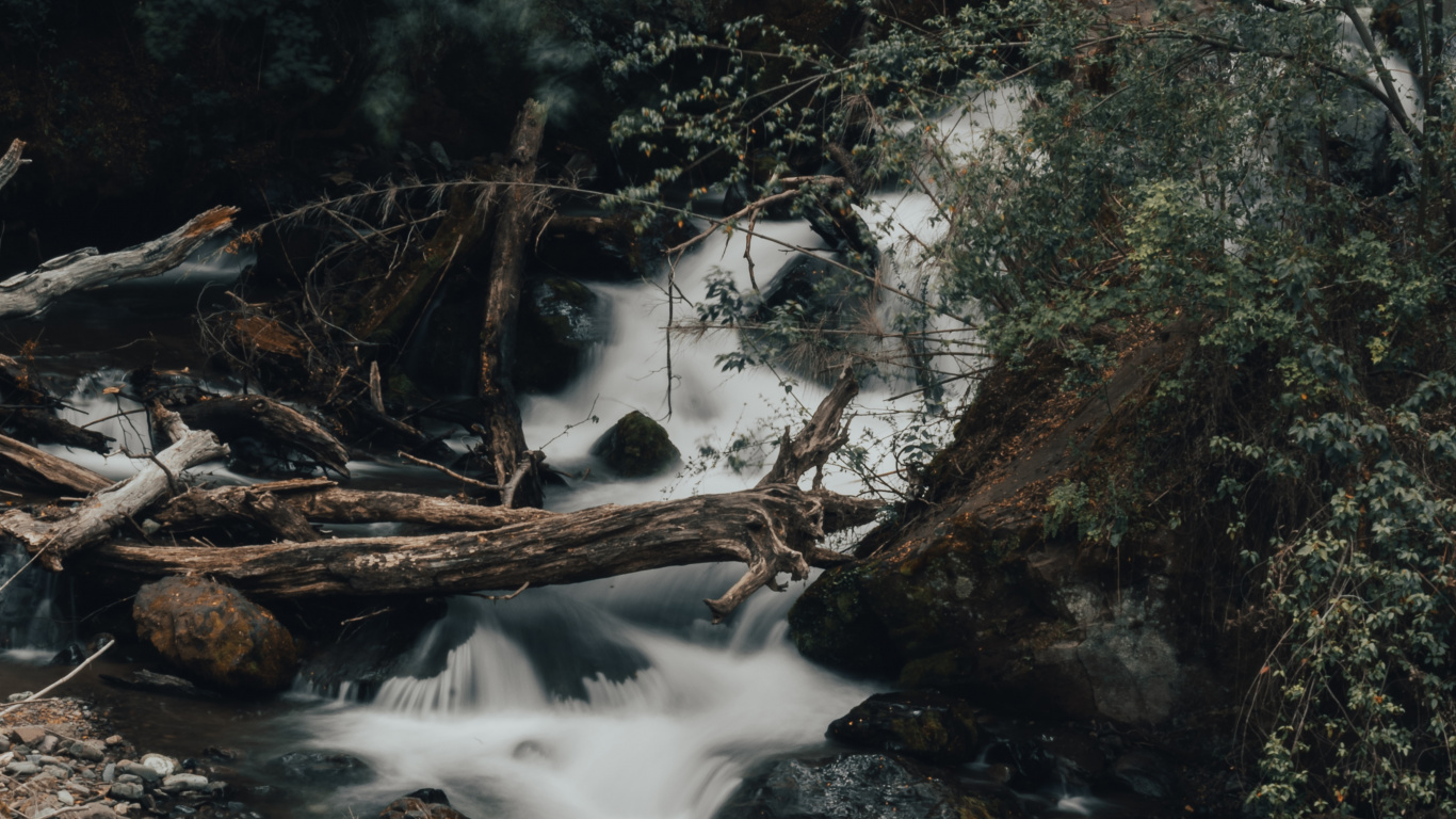 Обои поток, тропические леса, водоток, вода, природный ландшафт в разрешении 1366x768