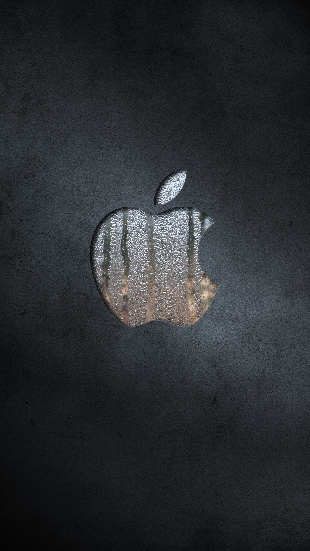 Обои apple, лист, растение, рука в разрешении 1080x1920