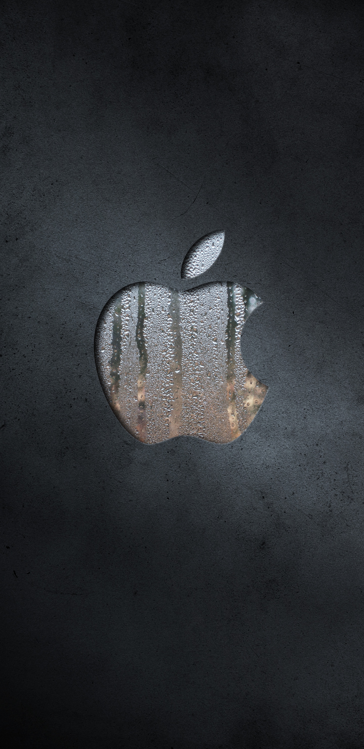 Обои apple, лист, растение, рука в разрешении 1440x2960