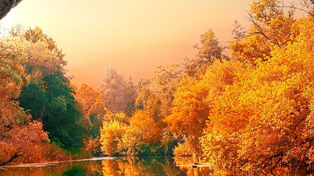 Обои река осенью, осень, реки, Река Андроскоггин, Осенняя окраска листьев в разрешении 1280x720