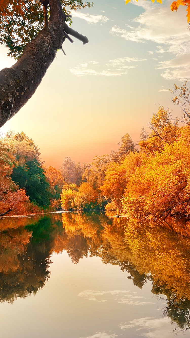 Обои река осенью, осень, реки, Река Андроскоггин, Осенняя окраска листьев в разрешении 750x1334