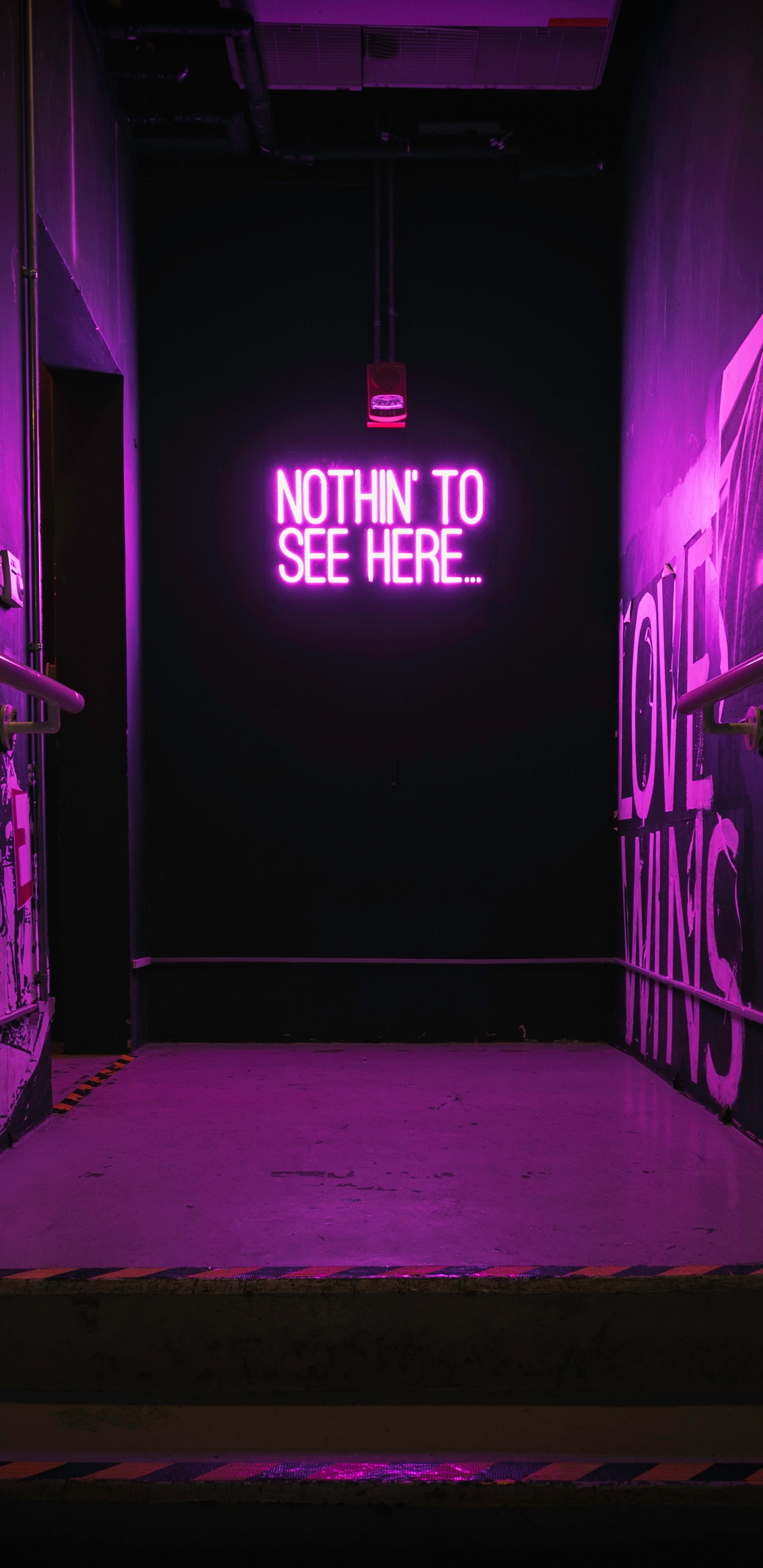 Обои неон, неоновая вывеска, неоновое освещение, пурпур, дверь в разрешении 1440x2960