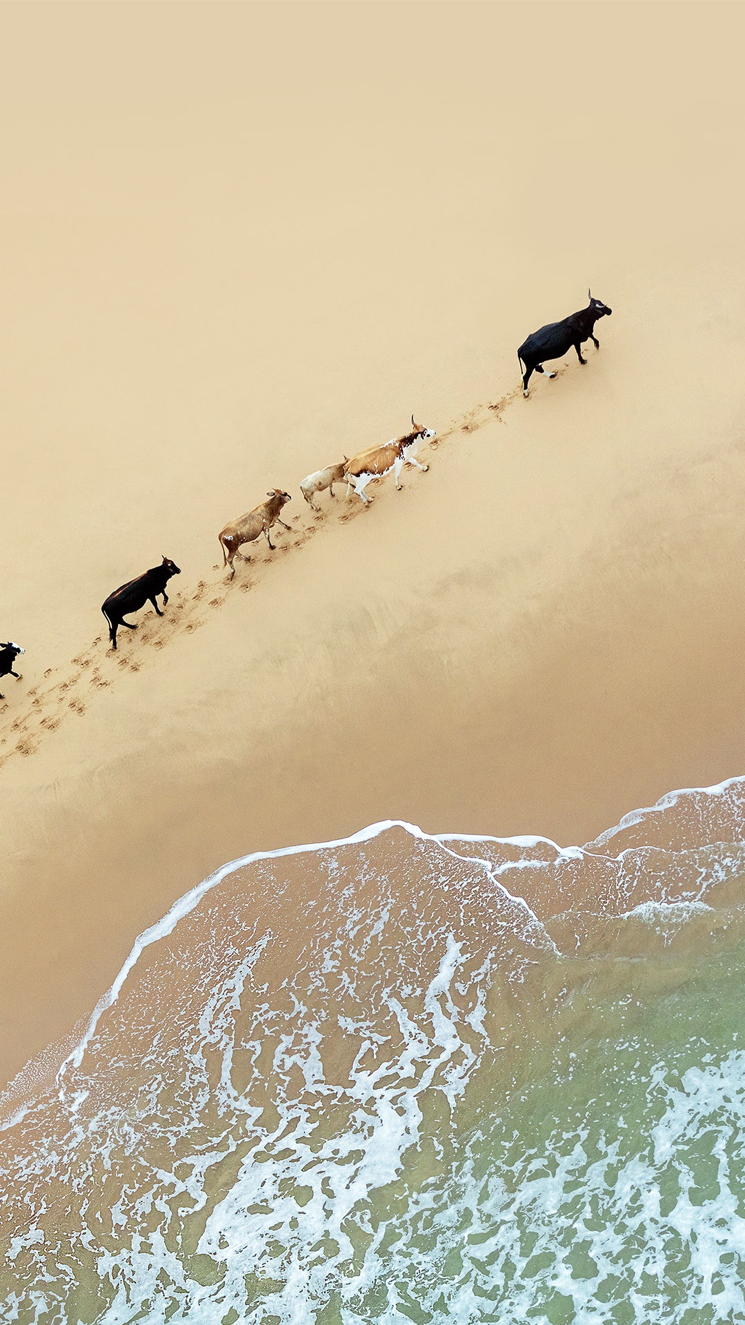 Обои андроид 8 1, Google Pixel 3a XL, андроид, Андроид Орео, Нуга Андроид в разрешении 1080x1920