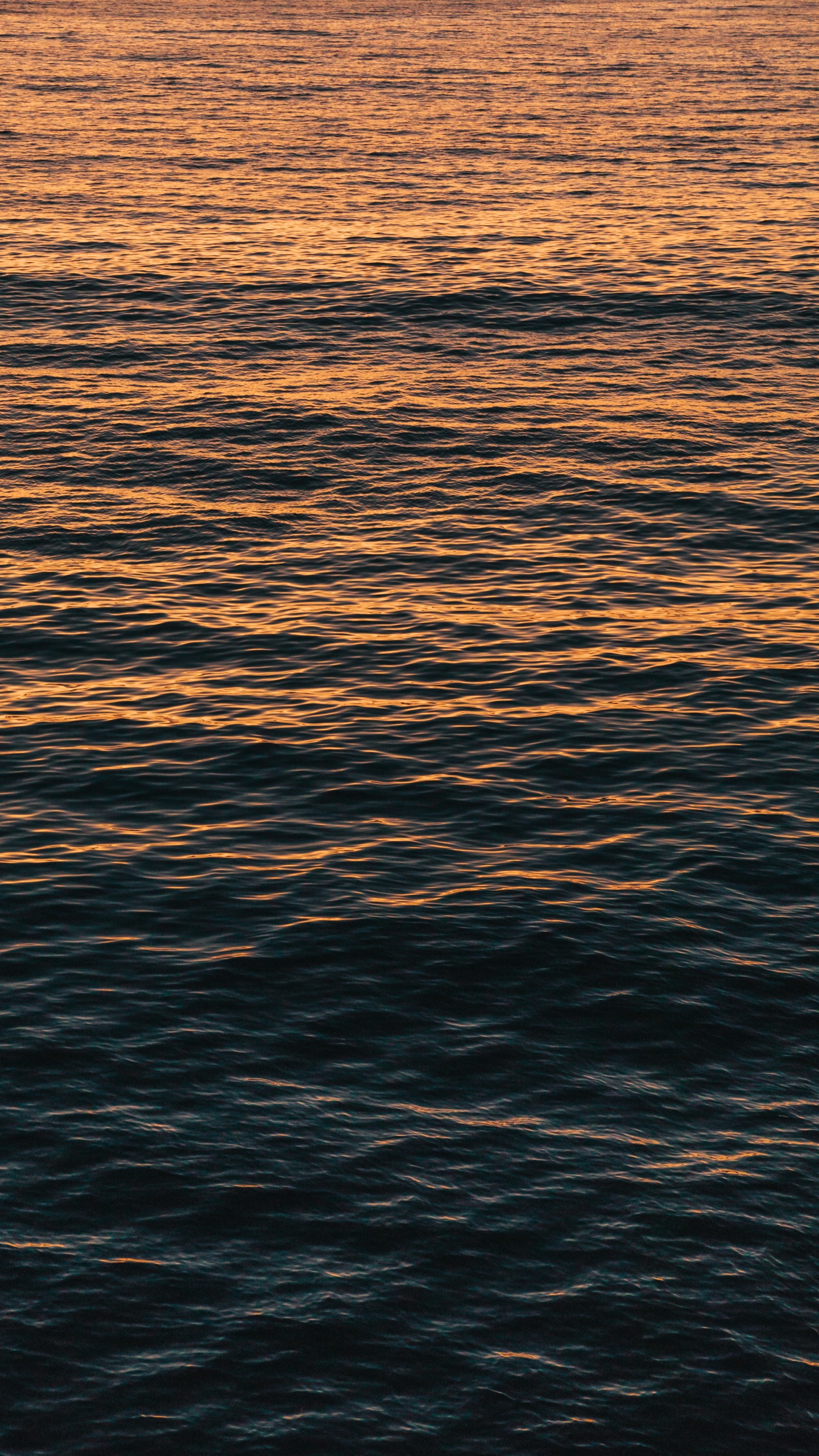 Обои вода, море, горизонт, океан, спокойный в разрешении 1440x2560