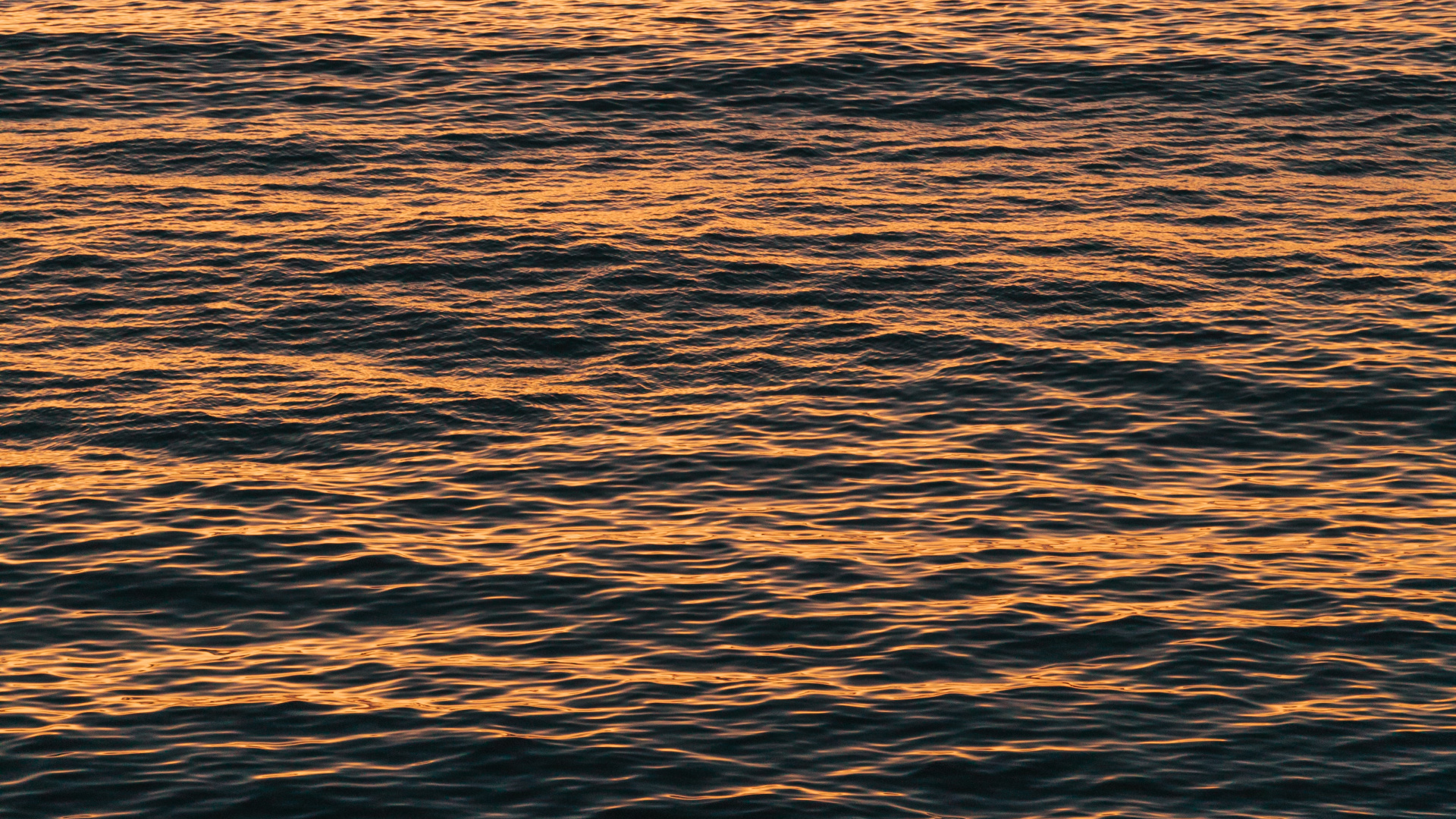 Обои вода, море, горизонт, океан, спокойный в разрешении 1920x1080