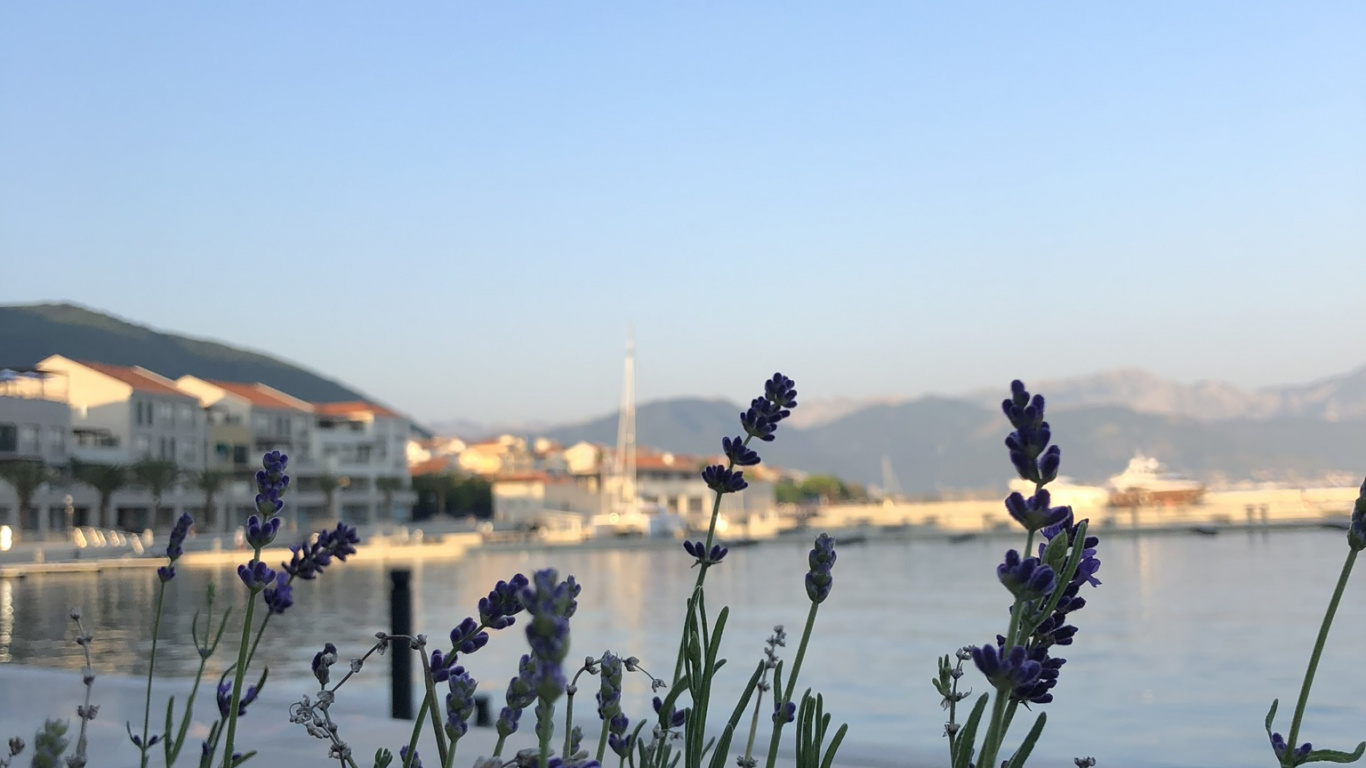 Обои вода, растительное сообщество, наука, гидроресурсы, Банк в разрешении 1366x768