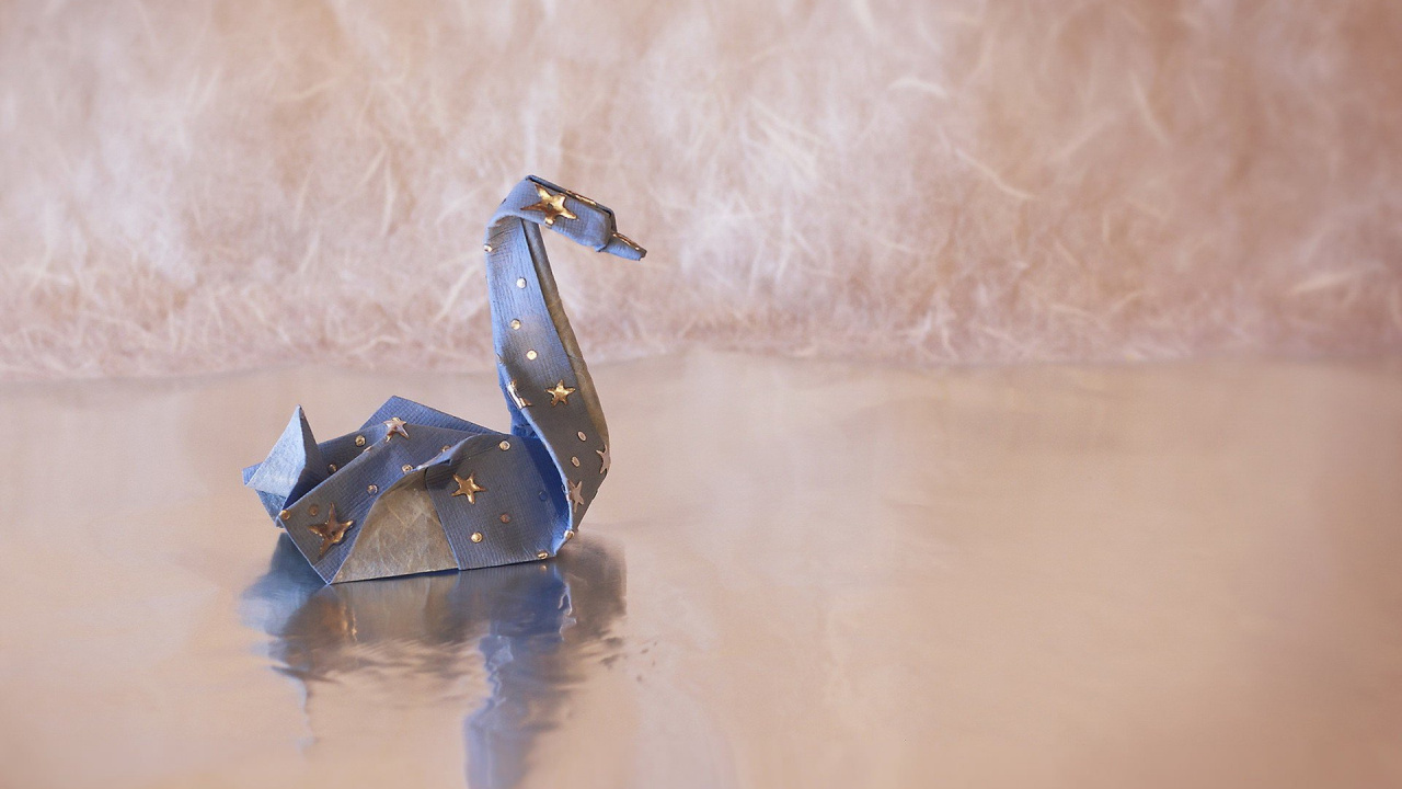 Обои водоплавающие птицы, птица, живая природа, вода, отражение в разрешении 1280x720