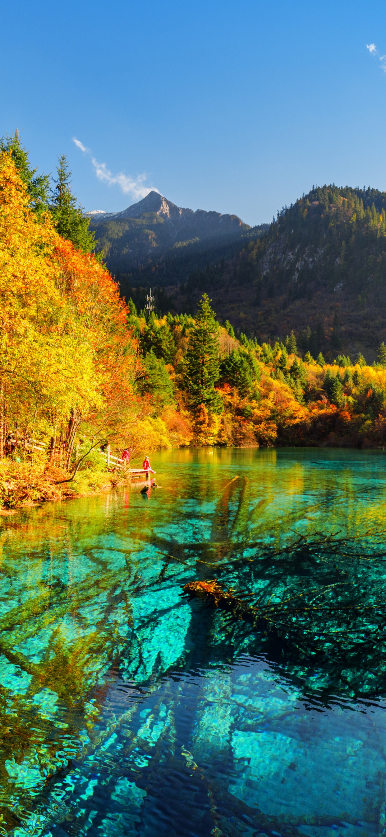 Обои озеро, природа, отражение, вода, дикая местность в разрешении 1242x2688