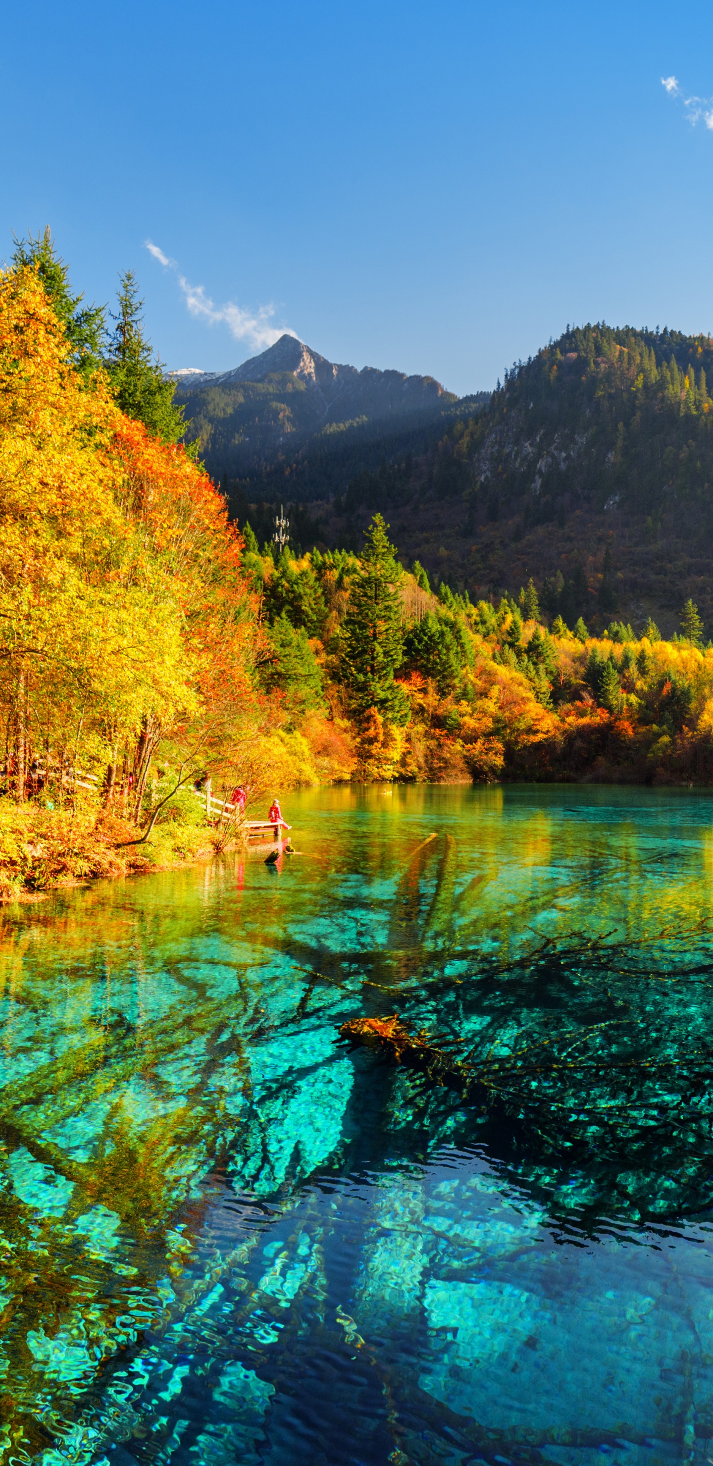 Обои озеро, природа, отражение, вода, дикая местность в разрешении 1440x2960