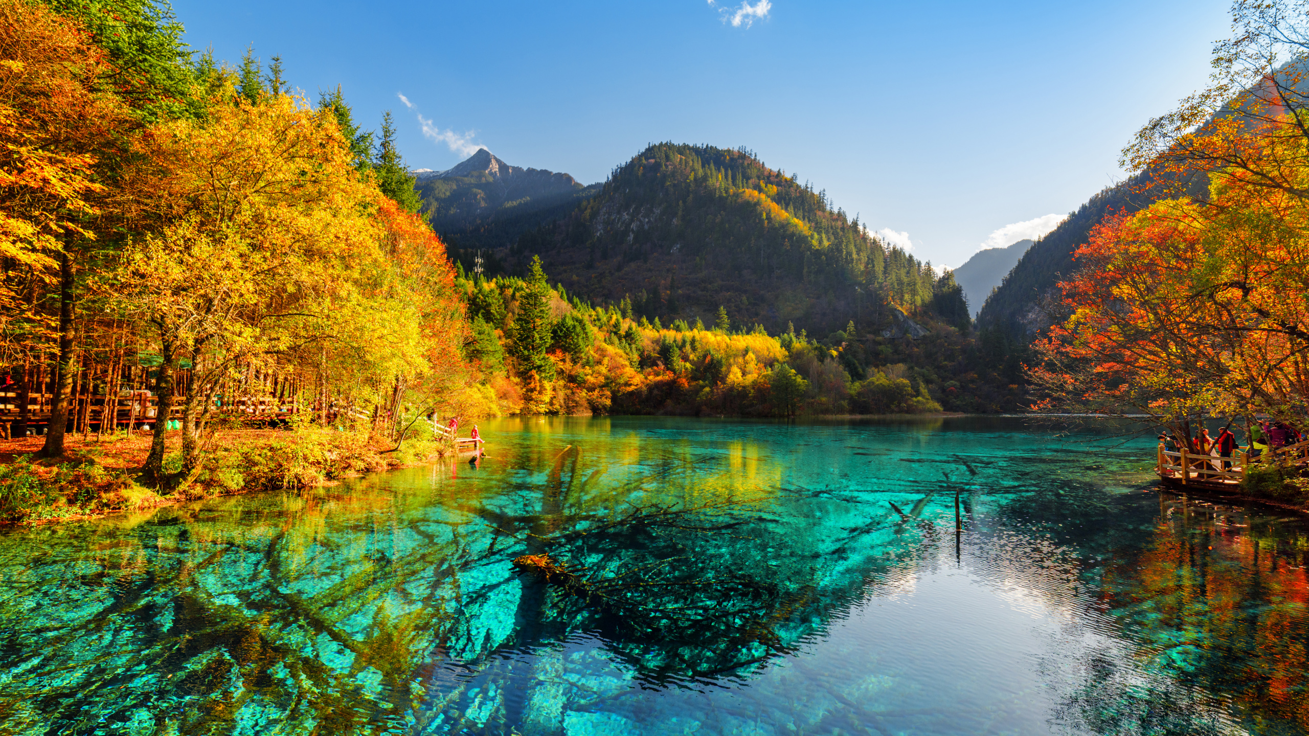 Обои озеро, природа, отражение, вода, дикая местность в разрешении 2560x1440