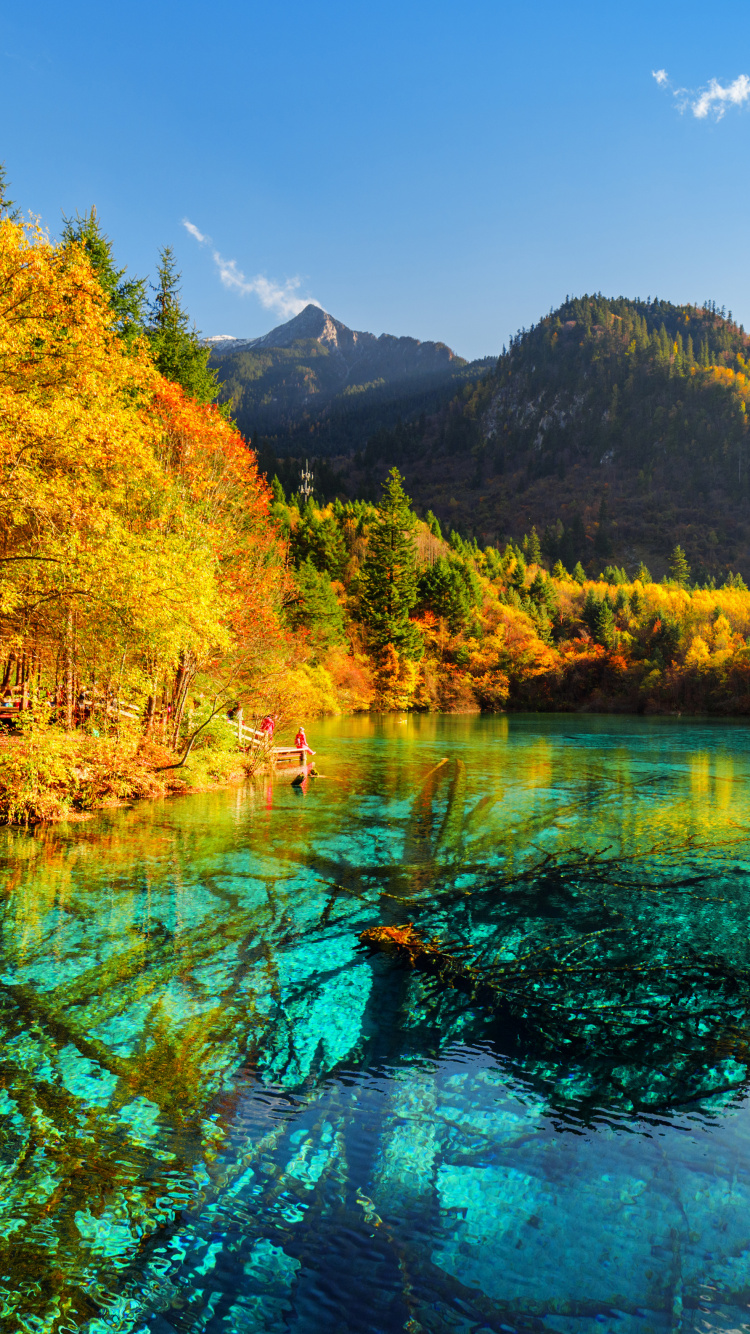 Обои озеро, природа, отражение, вода, дикая местность в разрешении 750x1334