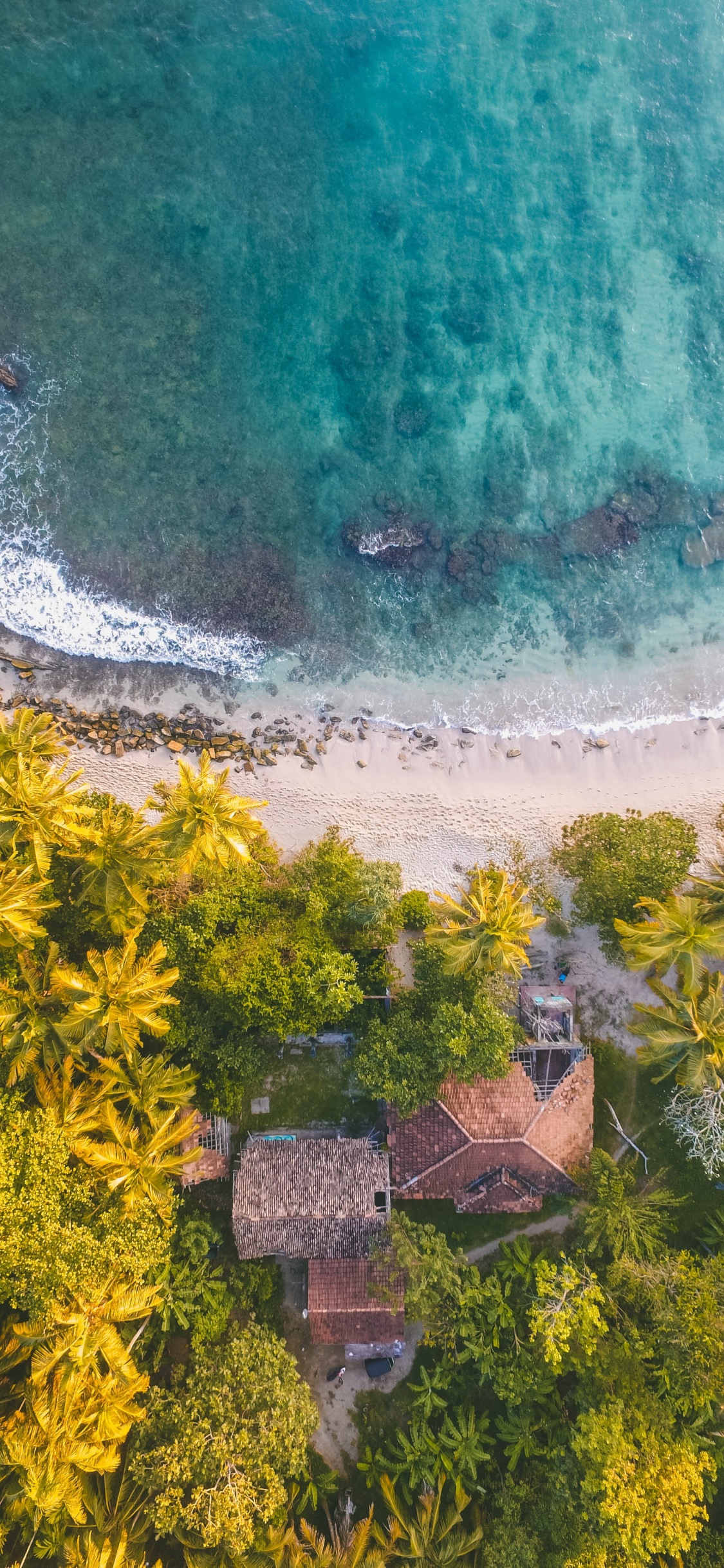 Обои выстрел с дрона на пляже, пляж, песок, берег, вода в разрешении 1125x2436