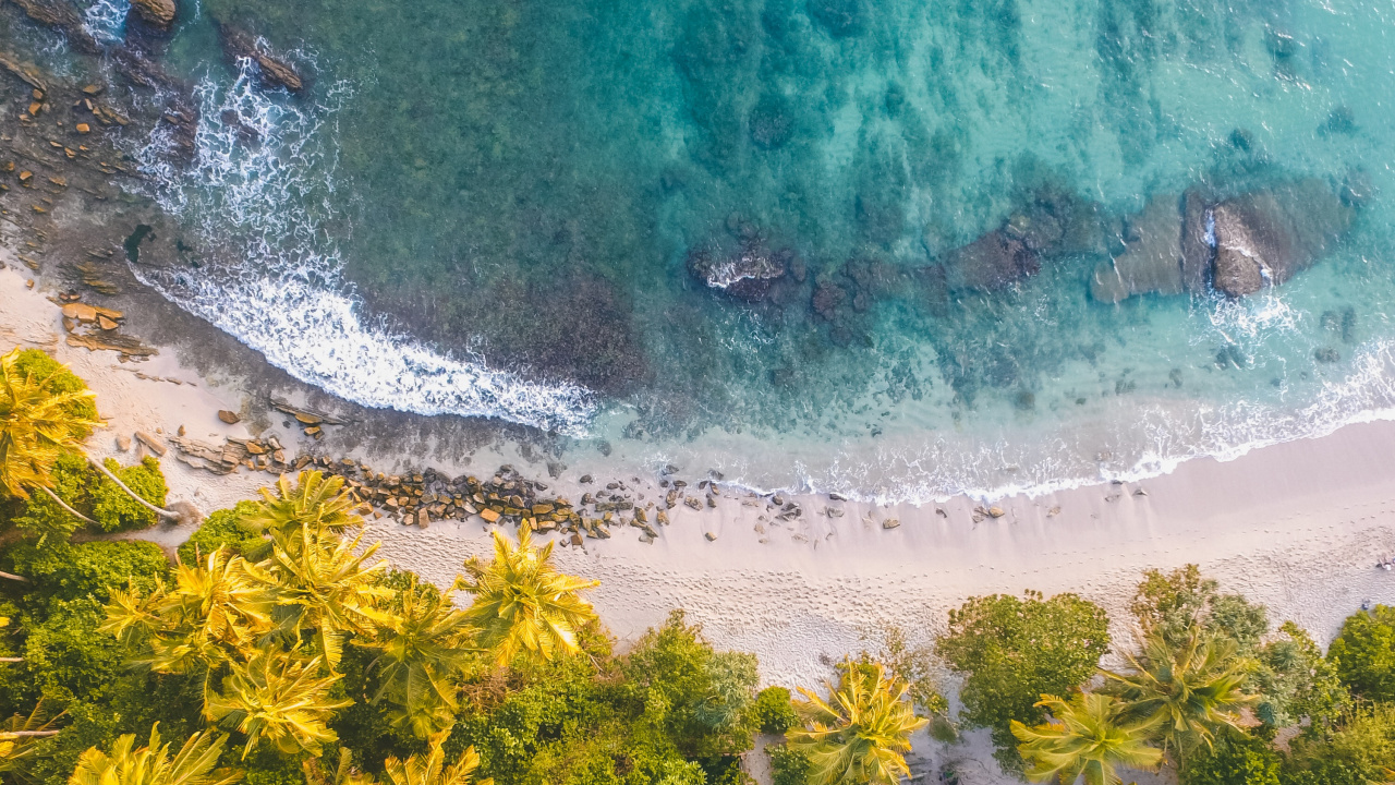 Обои выстрел с дрона на пляже, пляж, песок, берег, вода в разрешении 1280x720