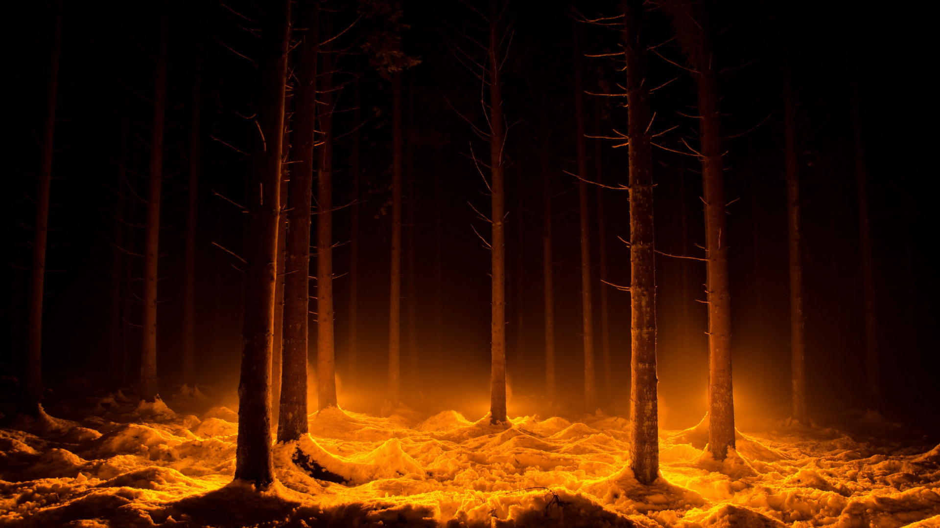 Обои лес, огонь, пламя, дерево, атмосфера в разрешении 1920x1080