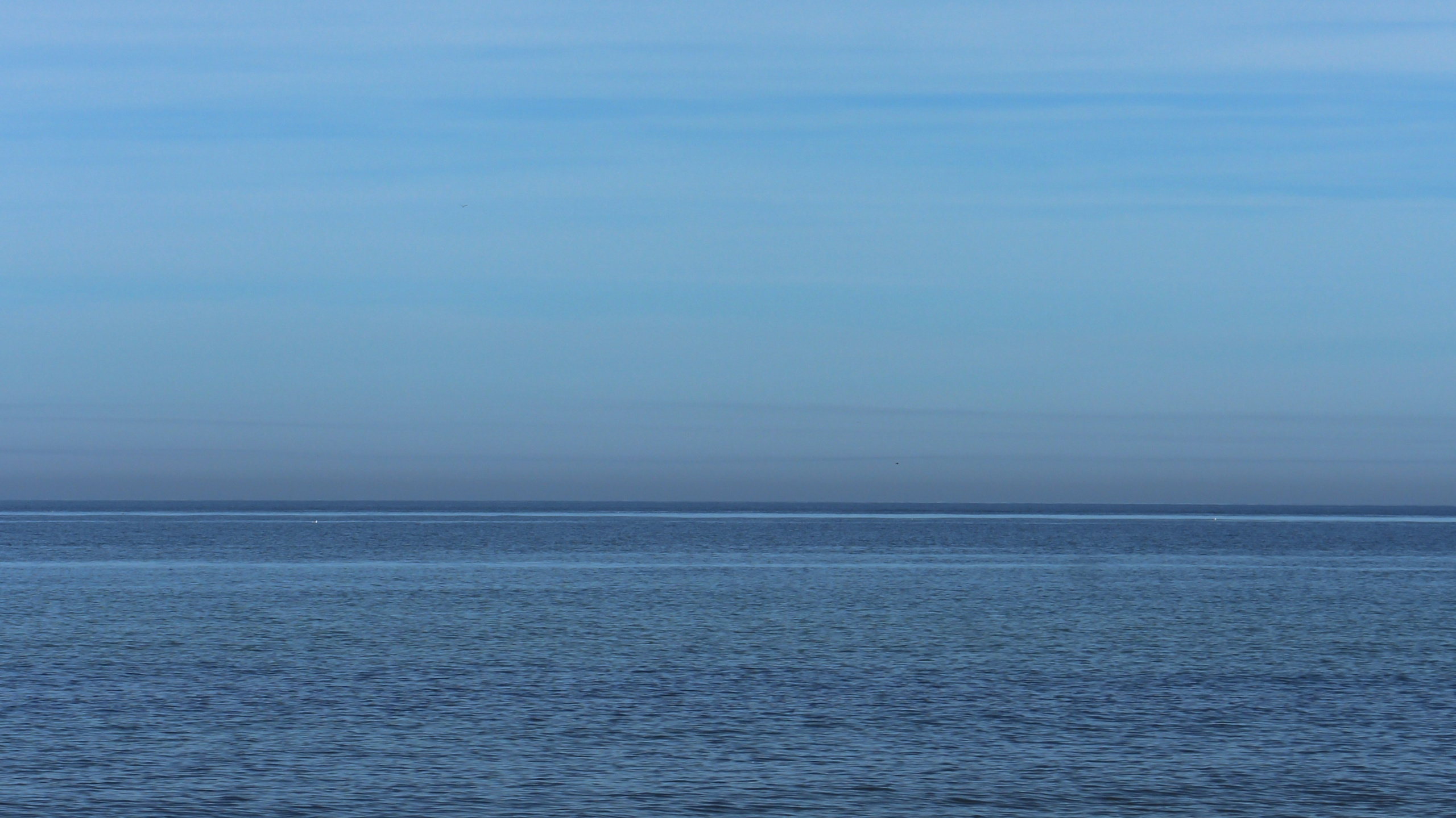 Обои море, горизонт, водоем, синий, океан в разрешении 2560x1440