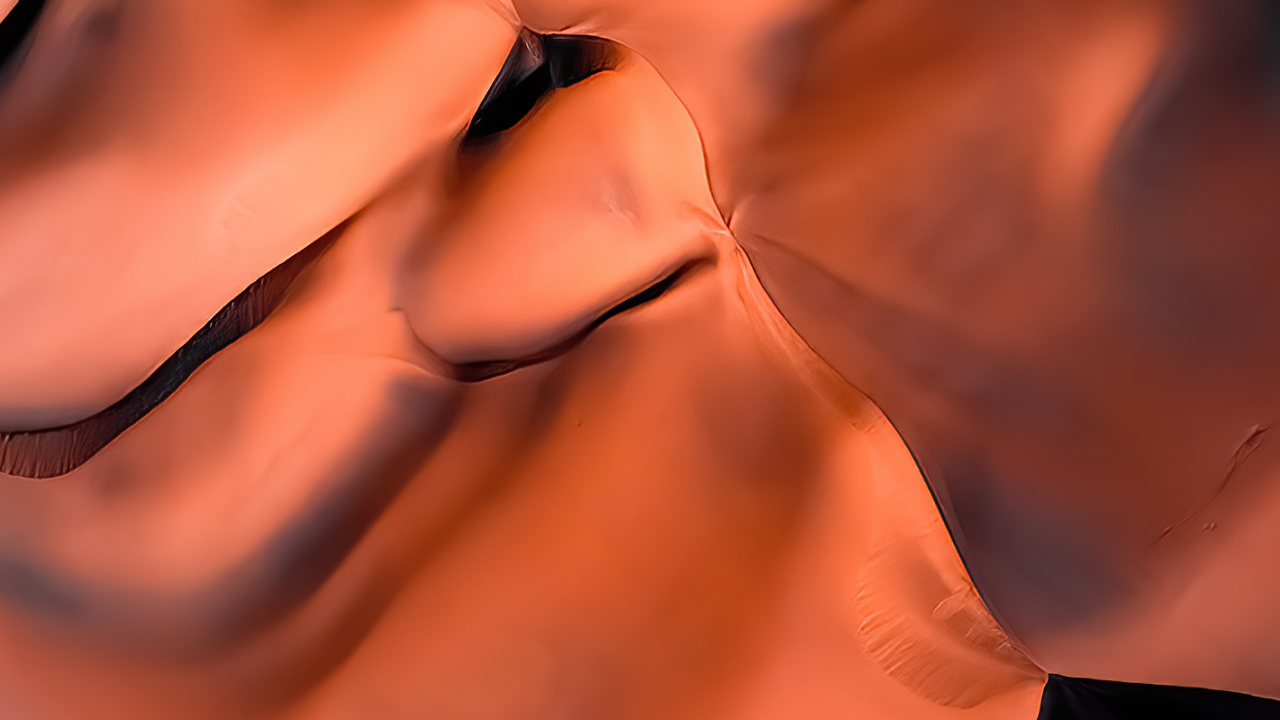 Обои Оранжевый цвет, наука, нос, губа, подбородок в разрешении 1280x720