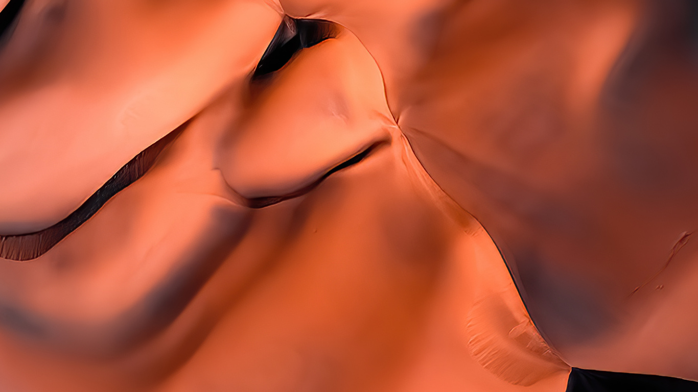 Обои Оранжевый цвет, наука, нос, губа, подбородок в разрешении 1366x768