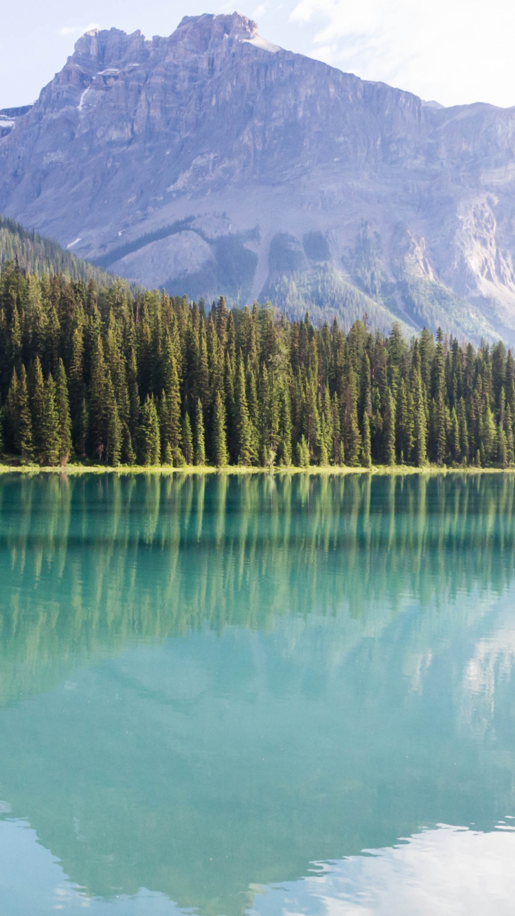 Обои озеро пейто, природа, отражение, дикая местность, рельеф в разрешении 750x1334