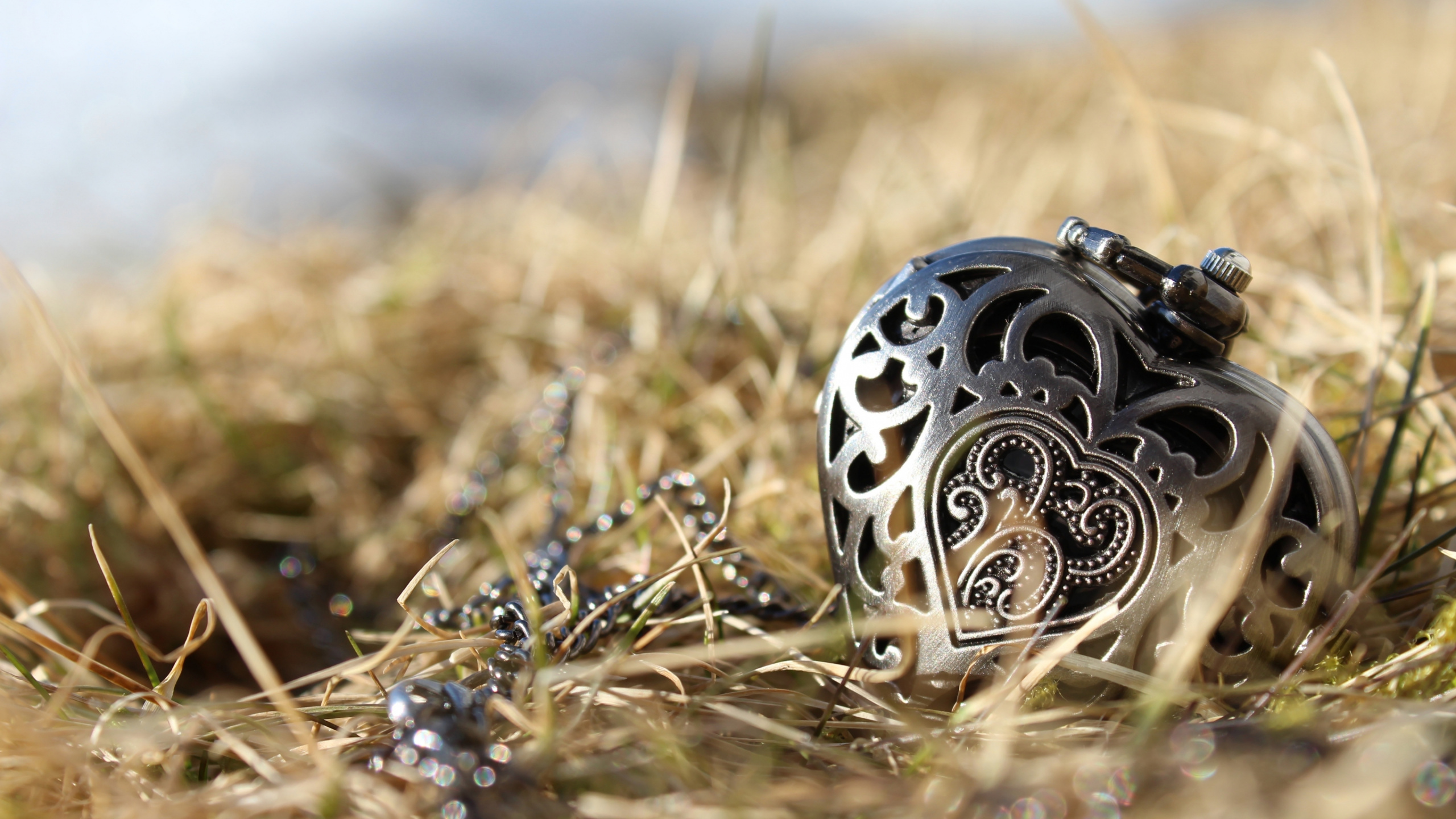 Обои во время сердца, ювелирные изделия, кулон, ожерелье, гравюра в разрешении 2560x1440