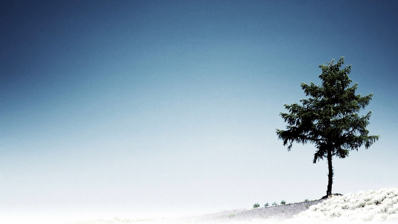 Обои дерево, синий, дневное время, атмосфера, облако в разрешении 1366x768