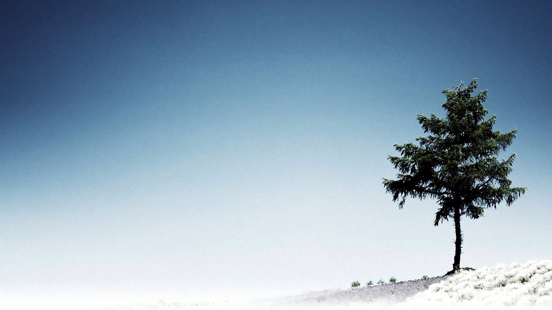 Обои дерево, синий, дневное время, атмосфера, облако в разрешении 1920x1080