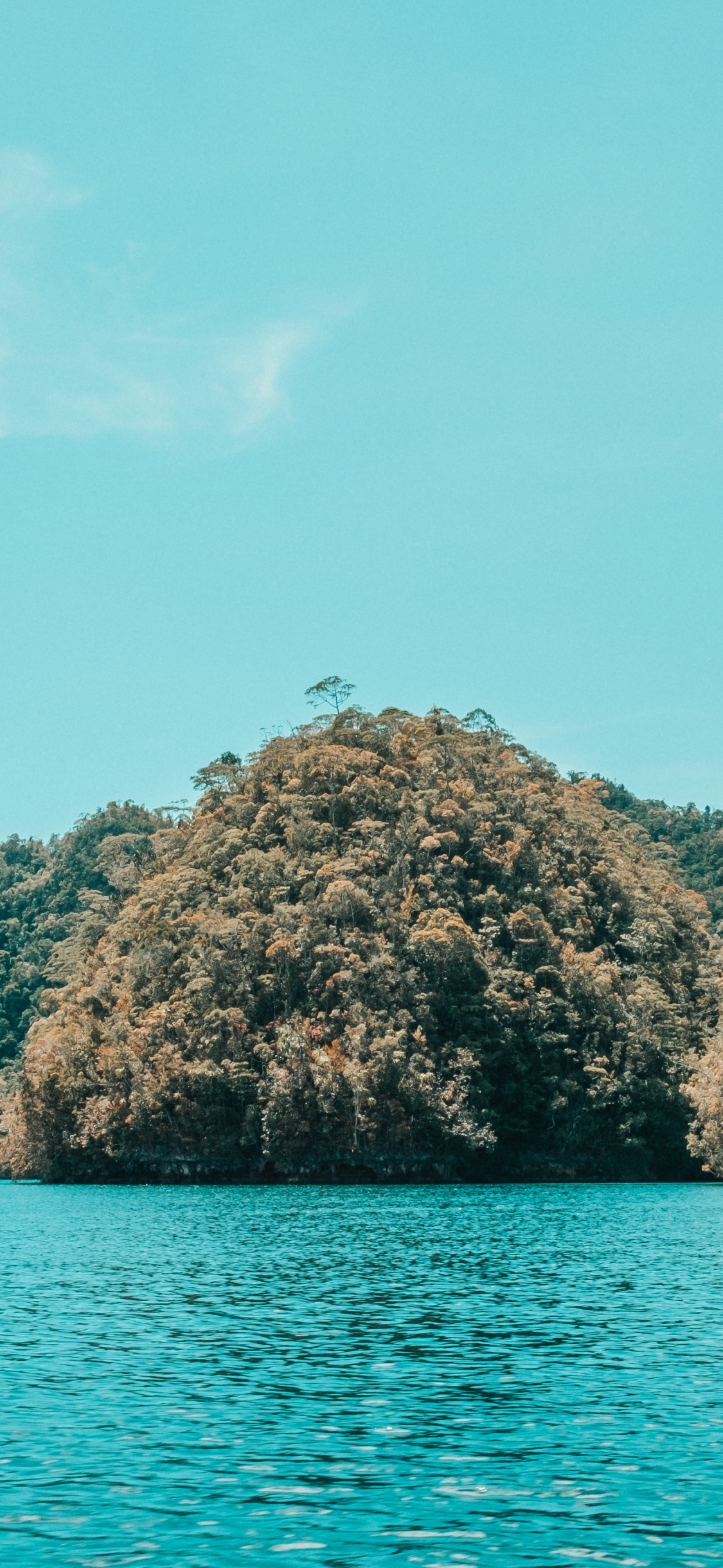 Обои море, побережье, водоем, вода, природа в разрешении 1125x2436