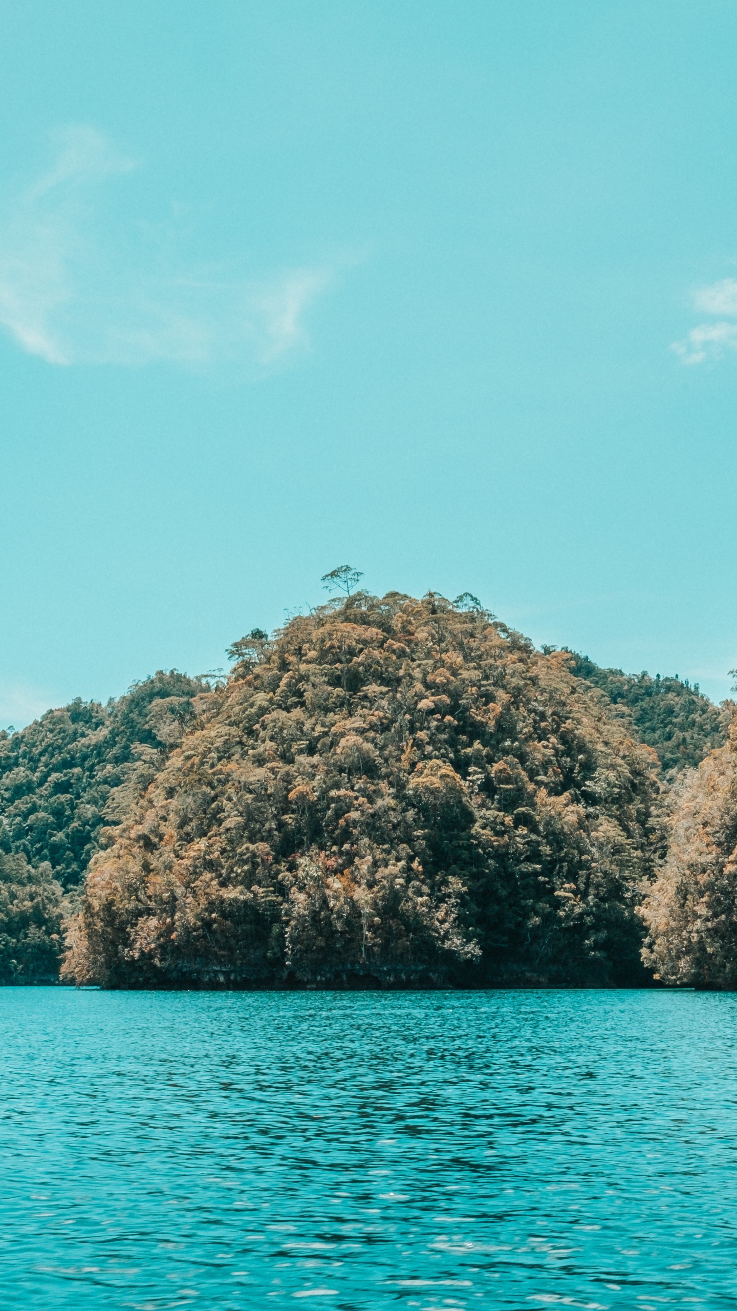 Обои море, побережье, водоем, вода, природа в разрешении 1440x2560