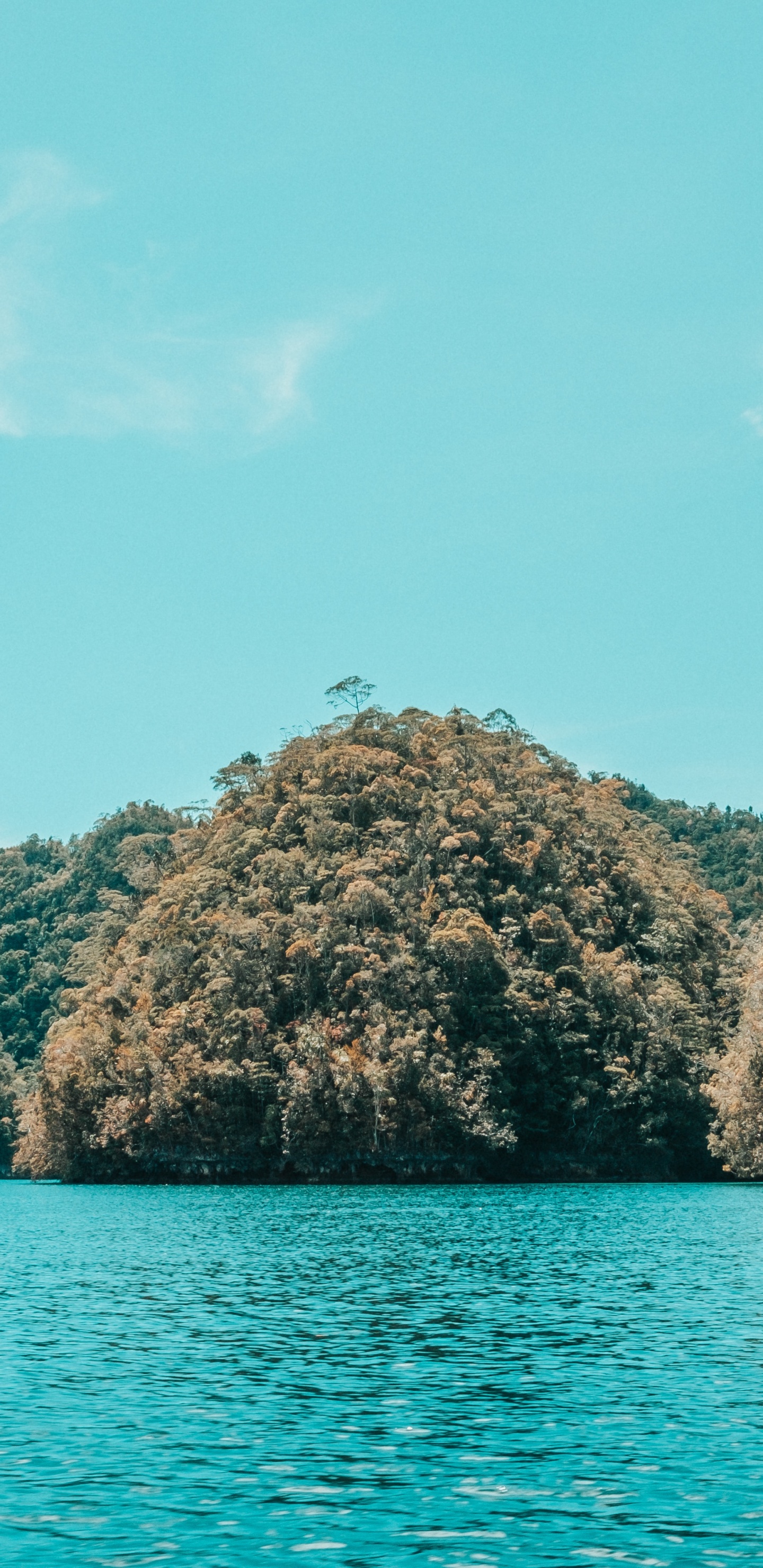 Обои море, побережье, водоем, вода, природа в разрешении 1440x2960