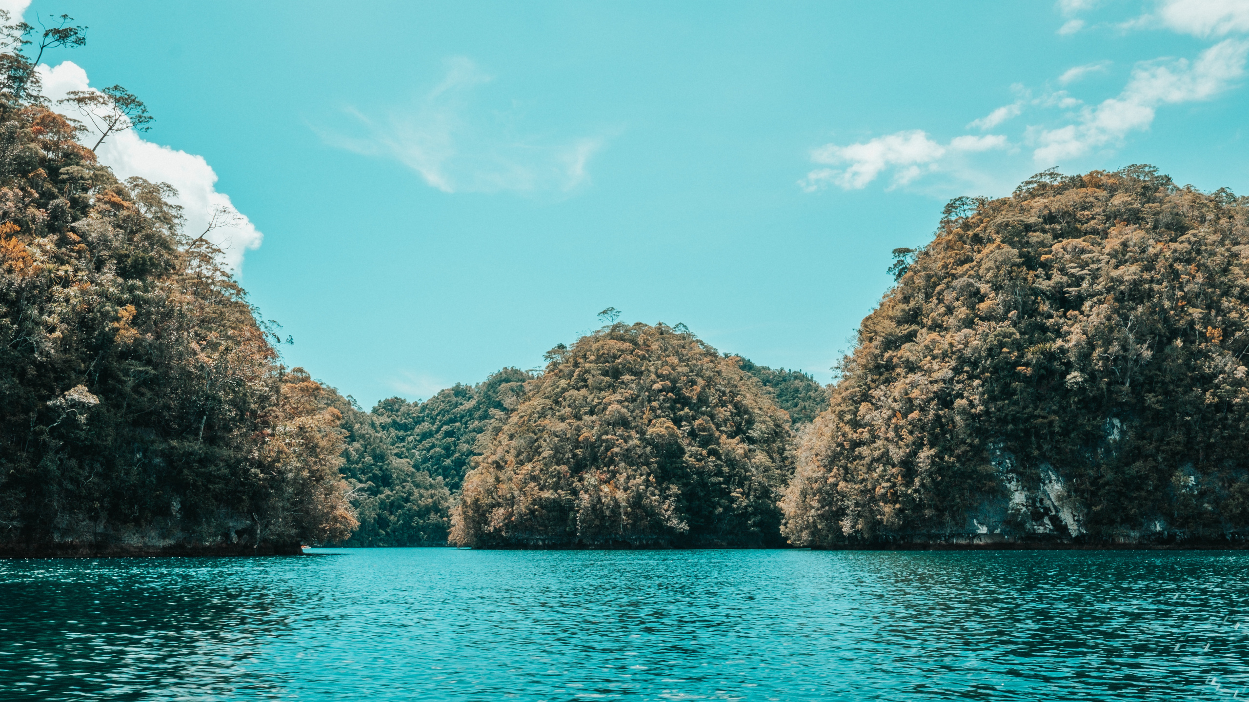 Обои море, побережье, водоем, вода, природа в разрешении 2560x1440