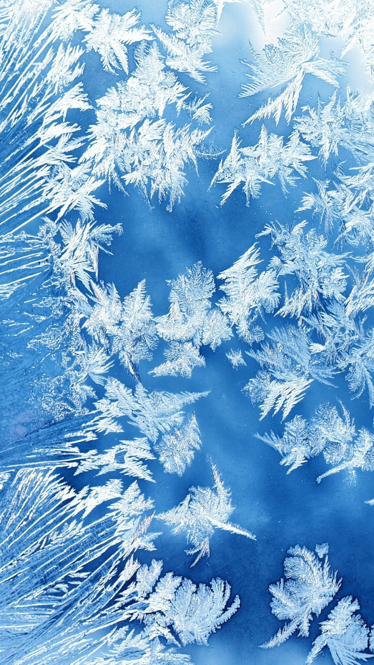 Обои синий, мороз, замораживание, зима, снег в разрешении 750x1334