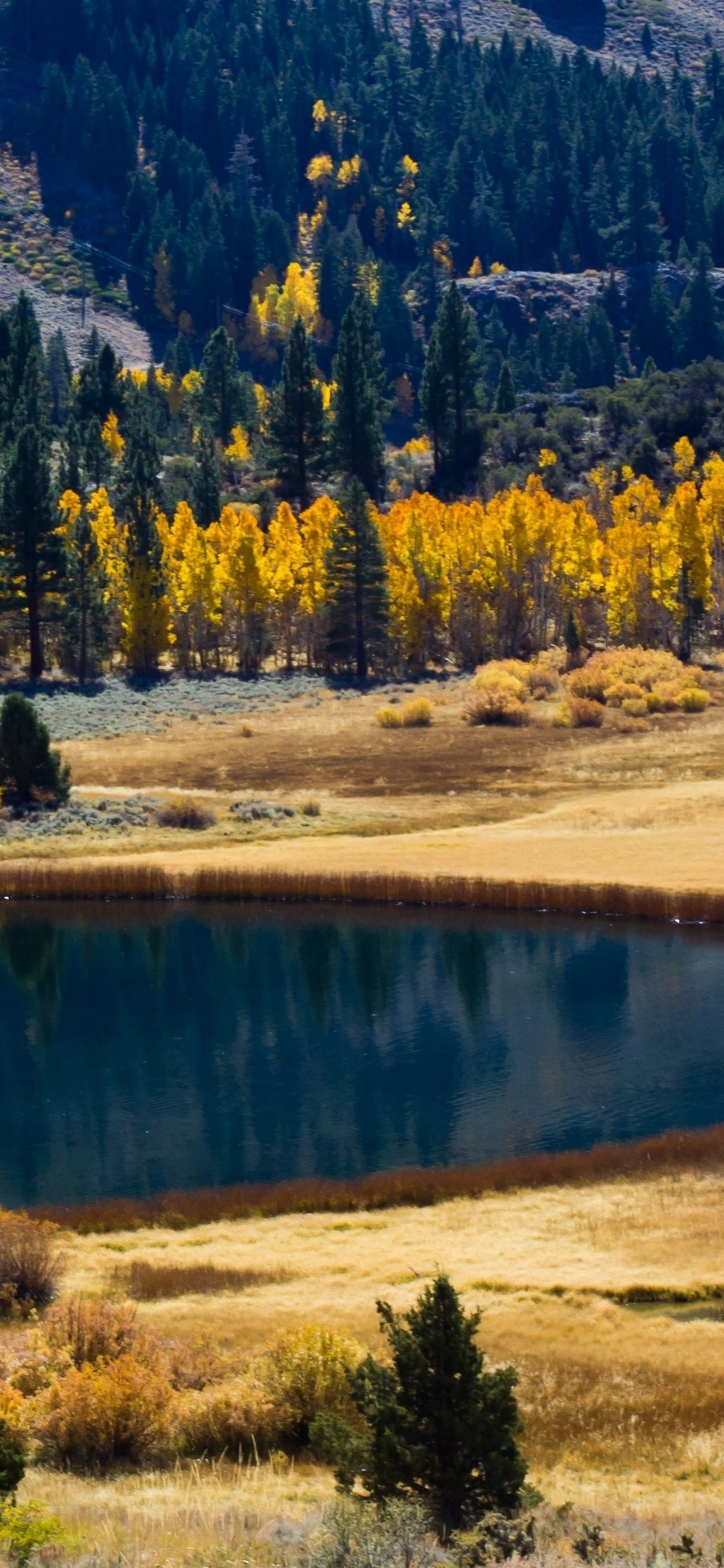 Обои озеро, осень, природа, дикая местность, отражение в разрешении 1125x2436