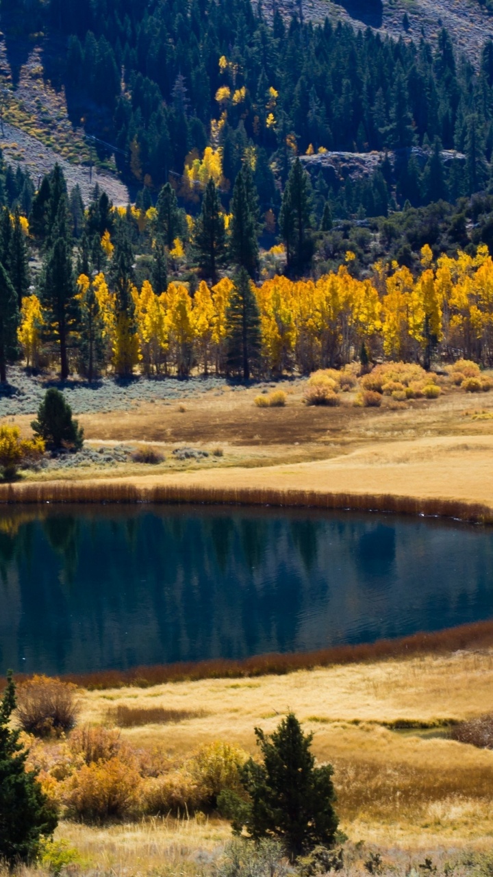 Обои озеро, осень, природа, дикая местность, отражение в разрешении 720x1280