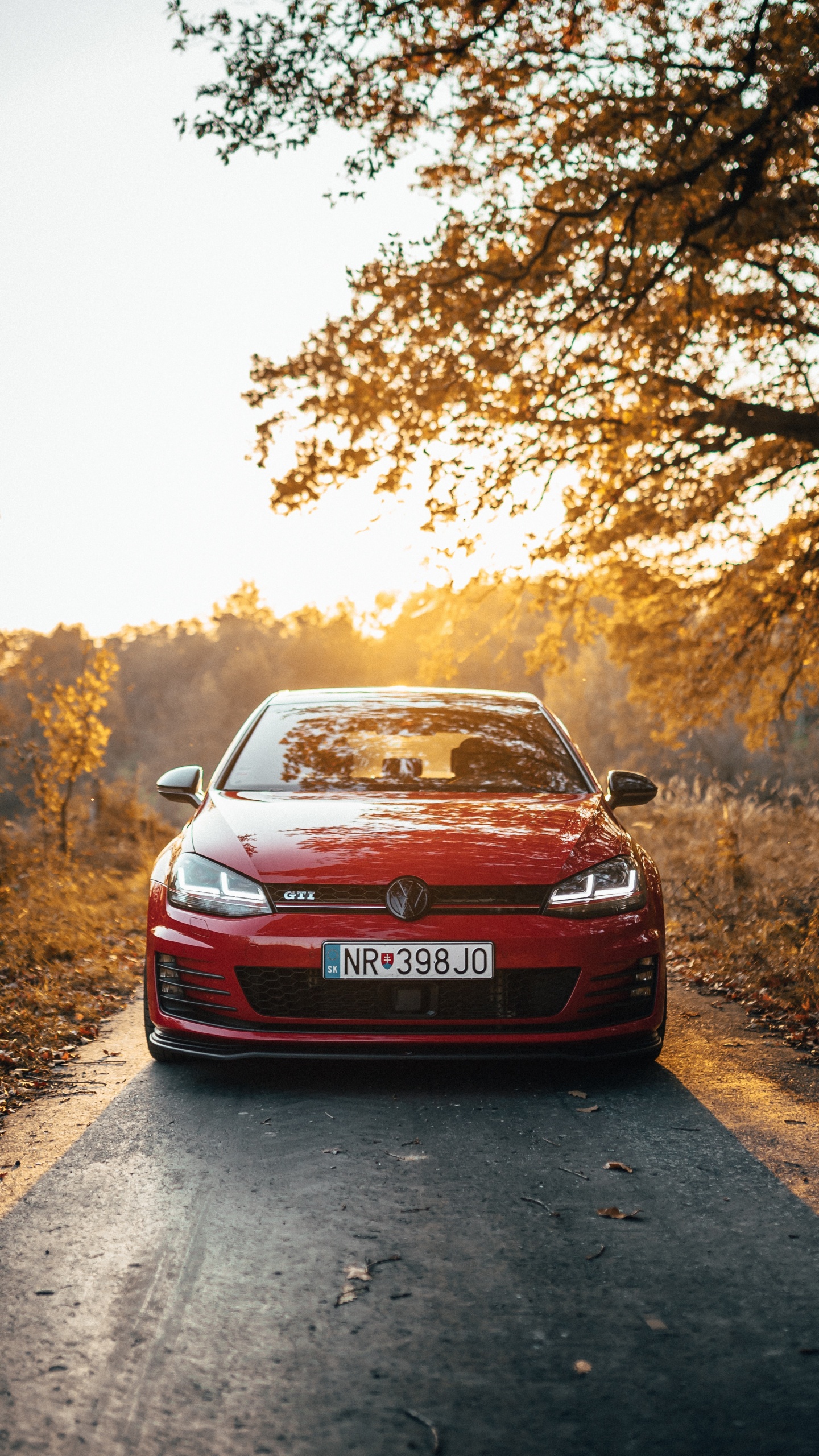 Обои спорткар, автомобильный экстерьер, дерево, бампер, Пежо 306 в разрешении 1440x2560