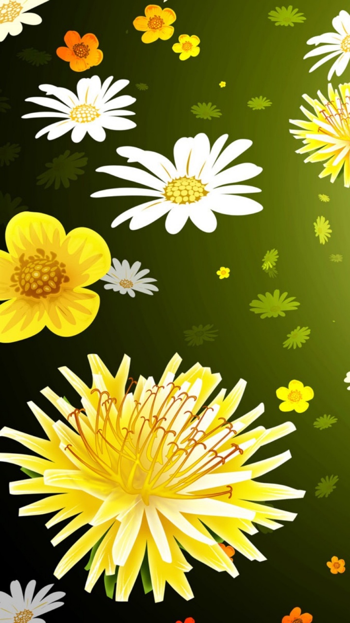 Обои цветок, желтый, Маргаритка, chrysanths, цветковое растение в разрешении 720x1280