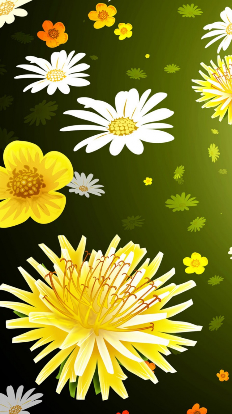 Обои цветок, желтый, Маргаритка, chrysanths, цветковое растение в разрешении 750x1334