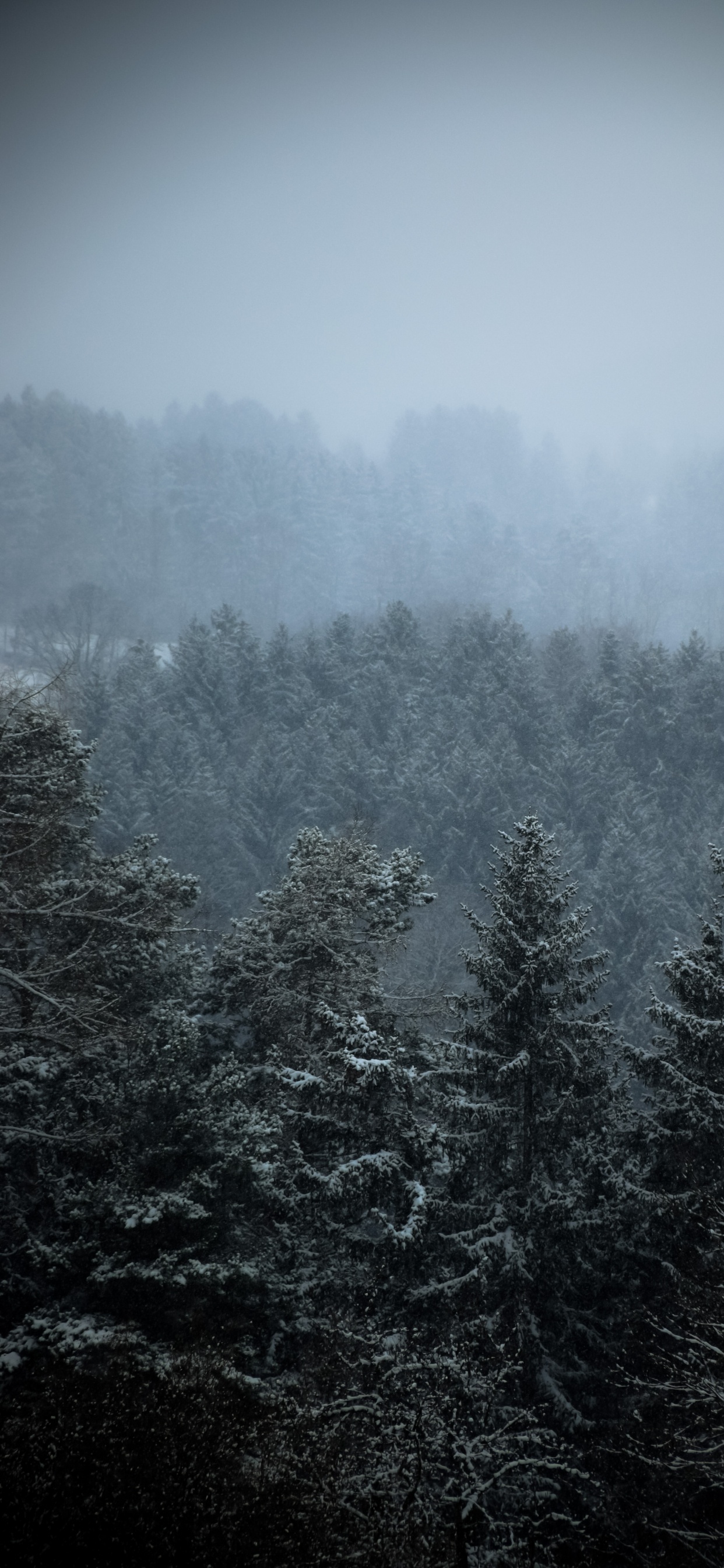 Обои мост, облако, атмосфера, дымка, природный ландшафт в разрешении 1242x2688