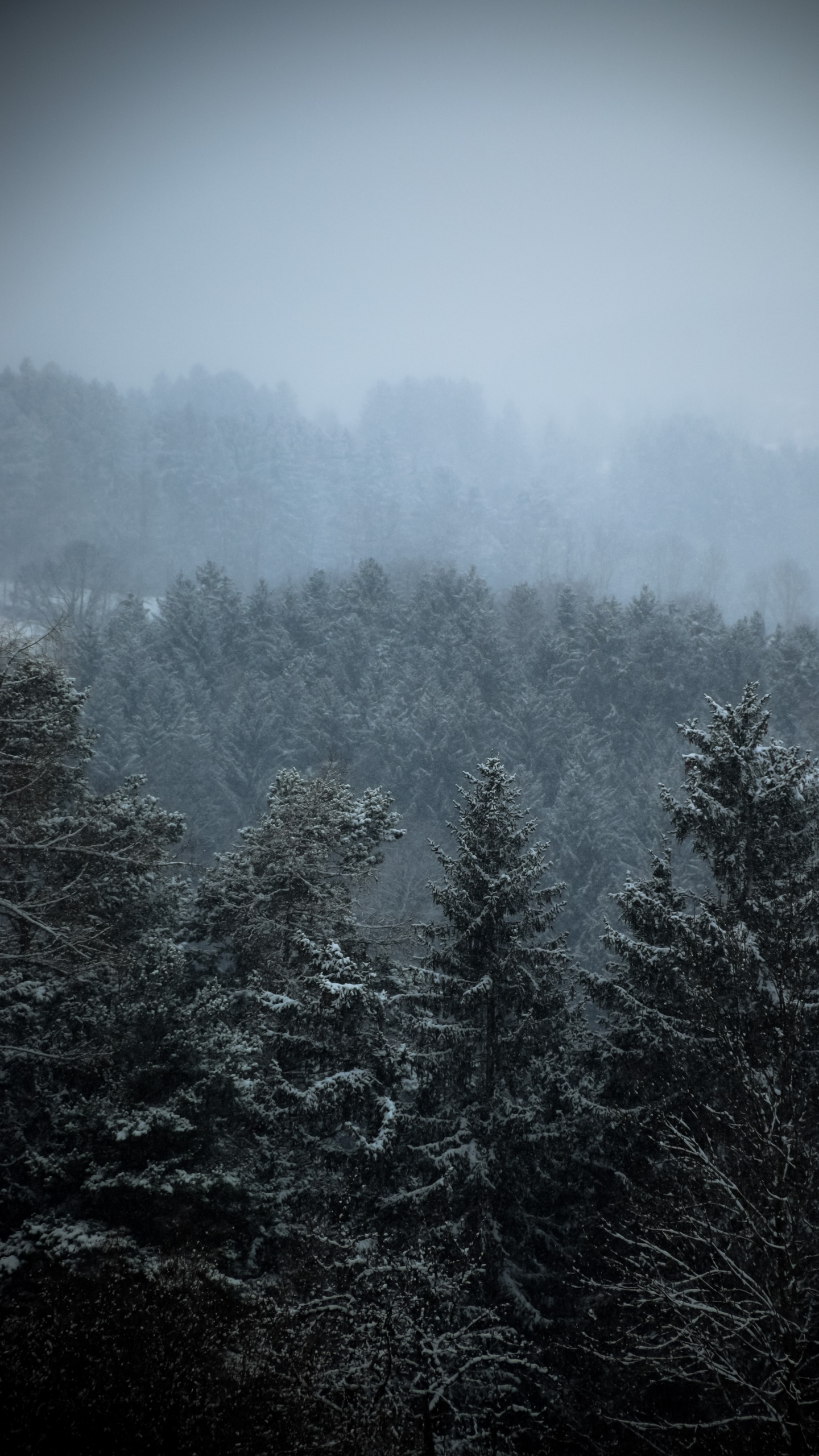 Обои мост, облако, атмосфера, дымка, природный ландшафт в разрешении 1440x2560