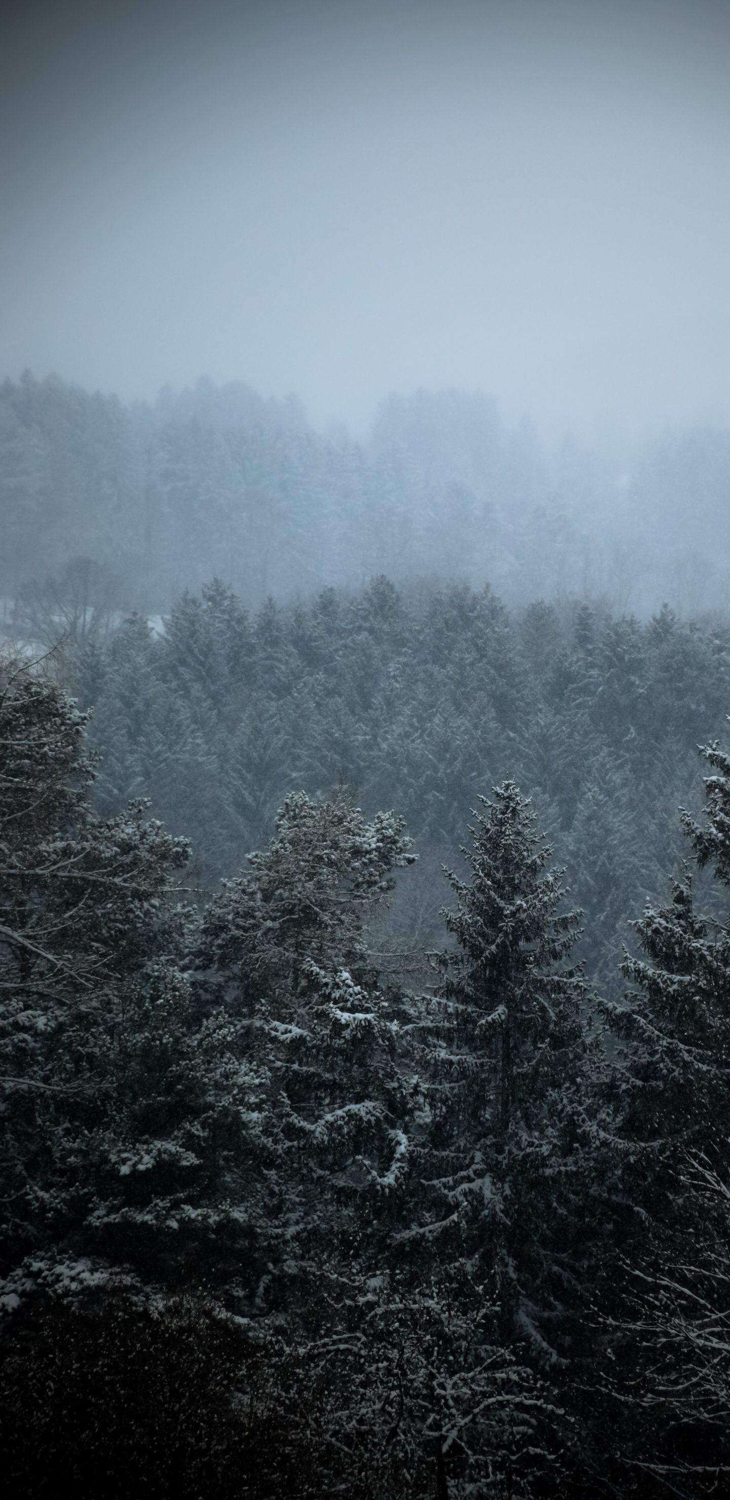 Обои мост, облако, атмосфера, дымка, природный ландшафт в разрешении 1440x2960